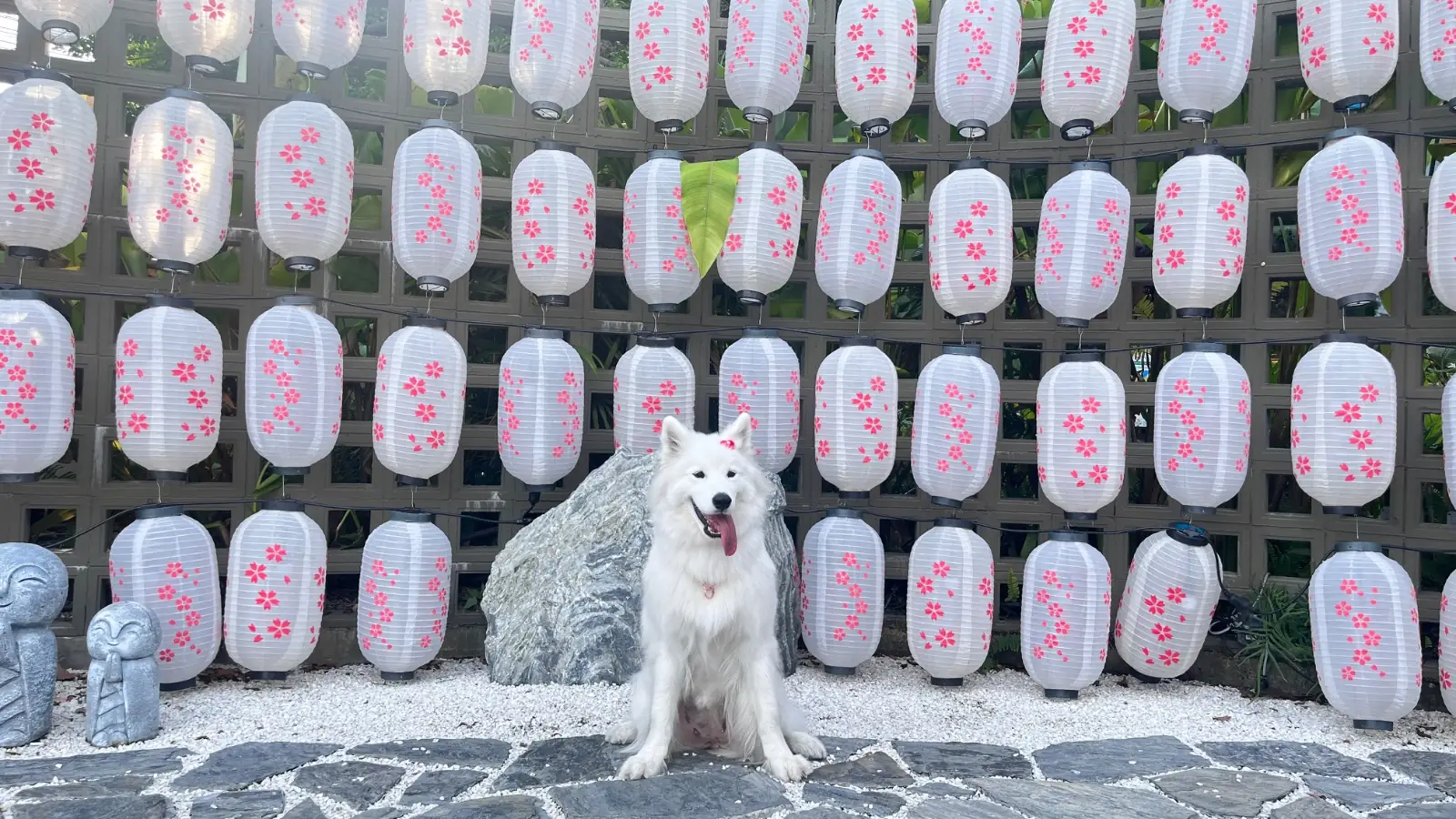ฤดูกาล pets image 5