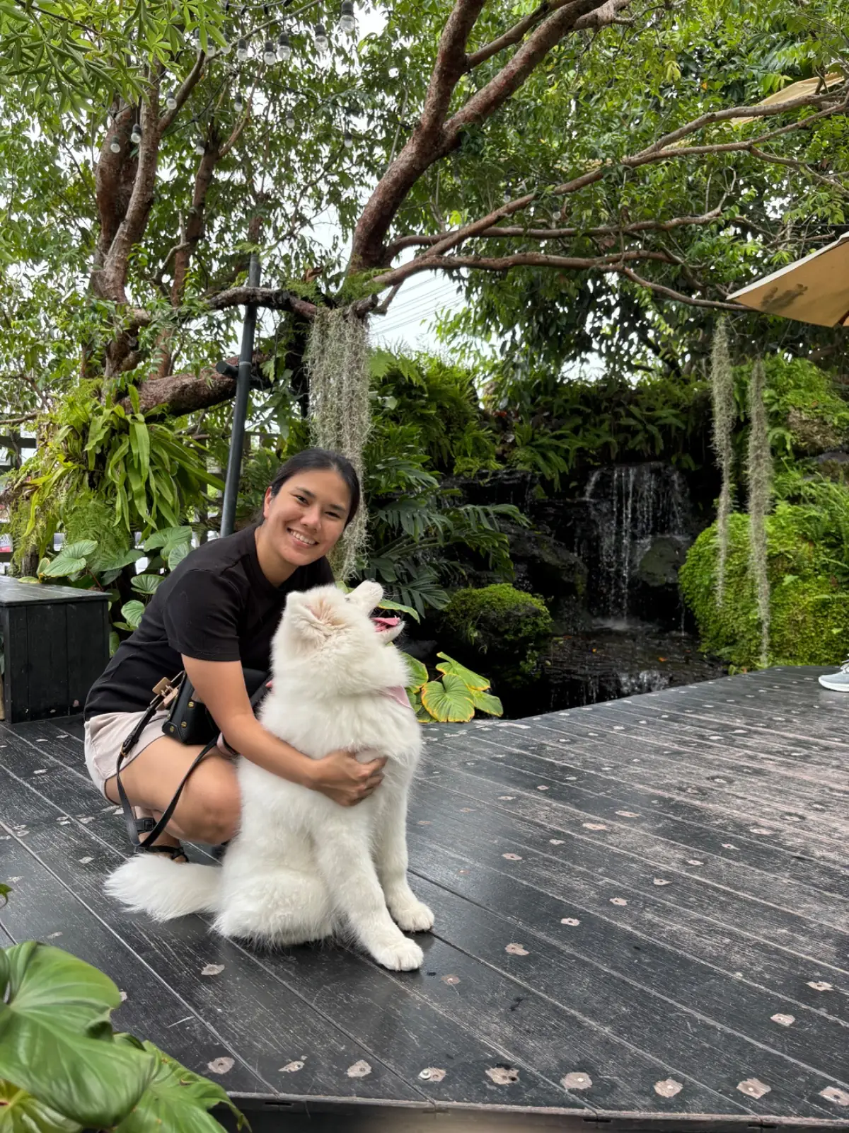 ฤดูกาล pets image 1