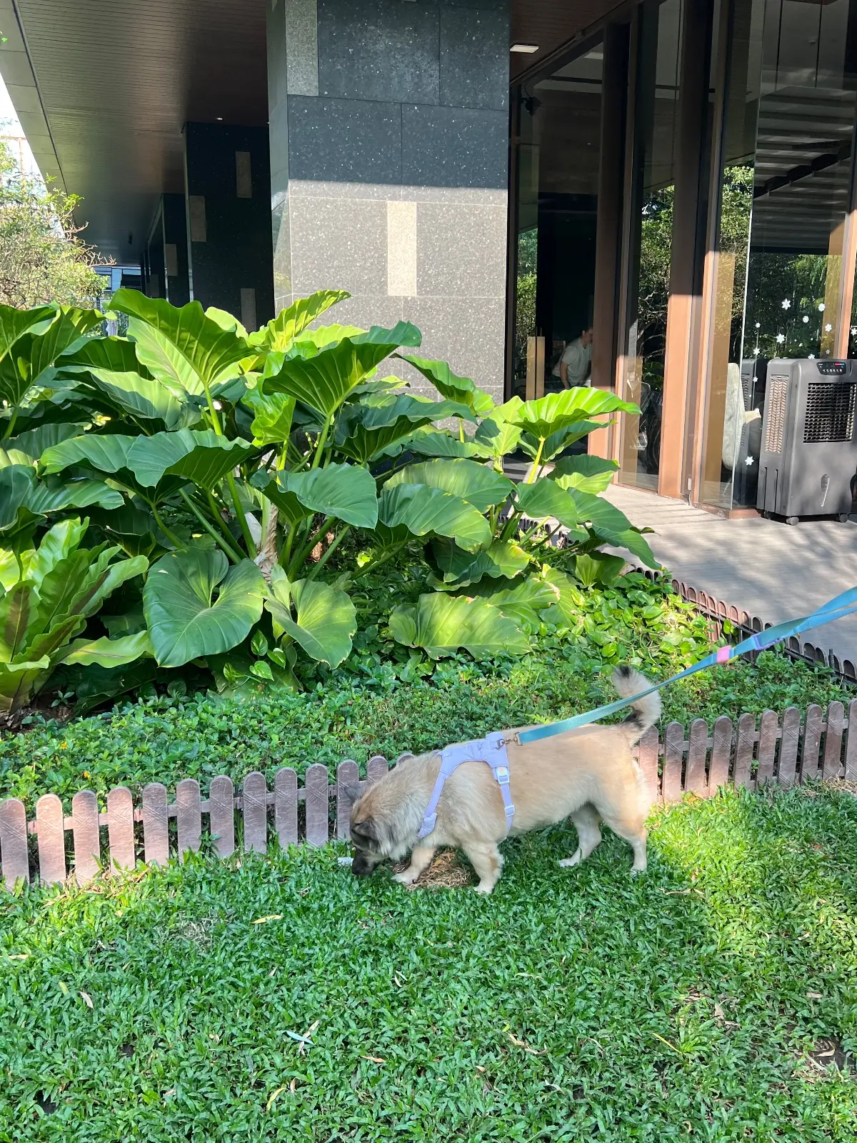 Kimpton Malai Bangkok pets image 2