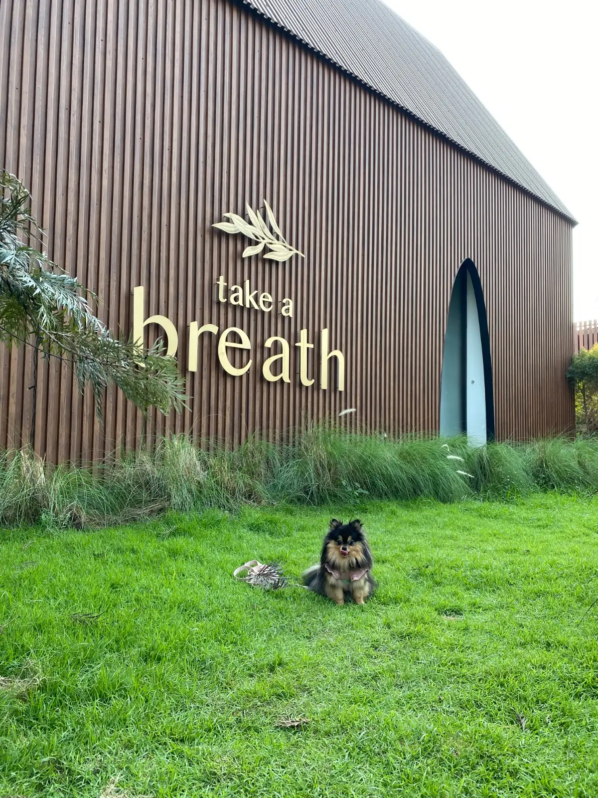 Take a Breath hero image 3