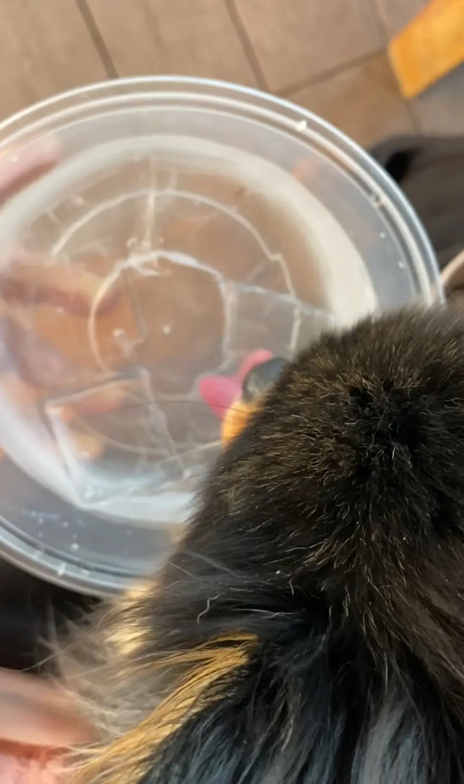 Take a Breath pets image 6