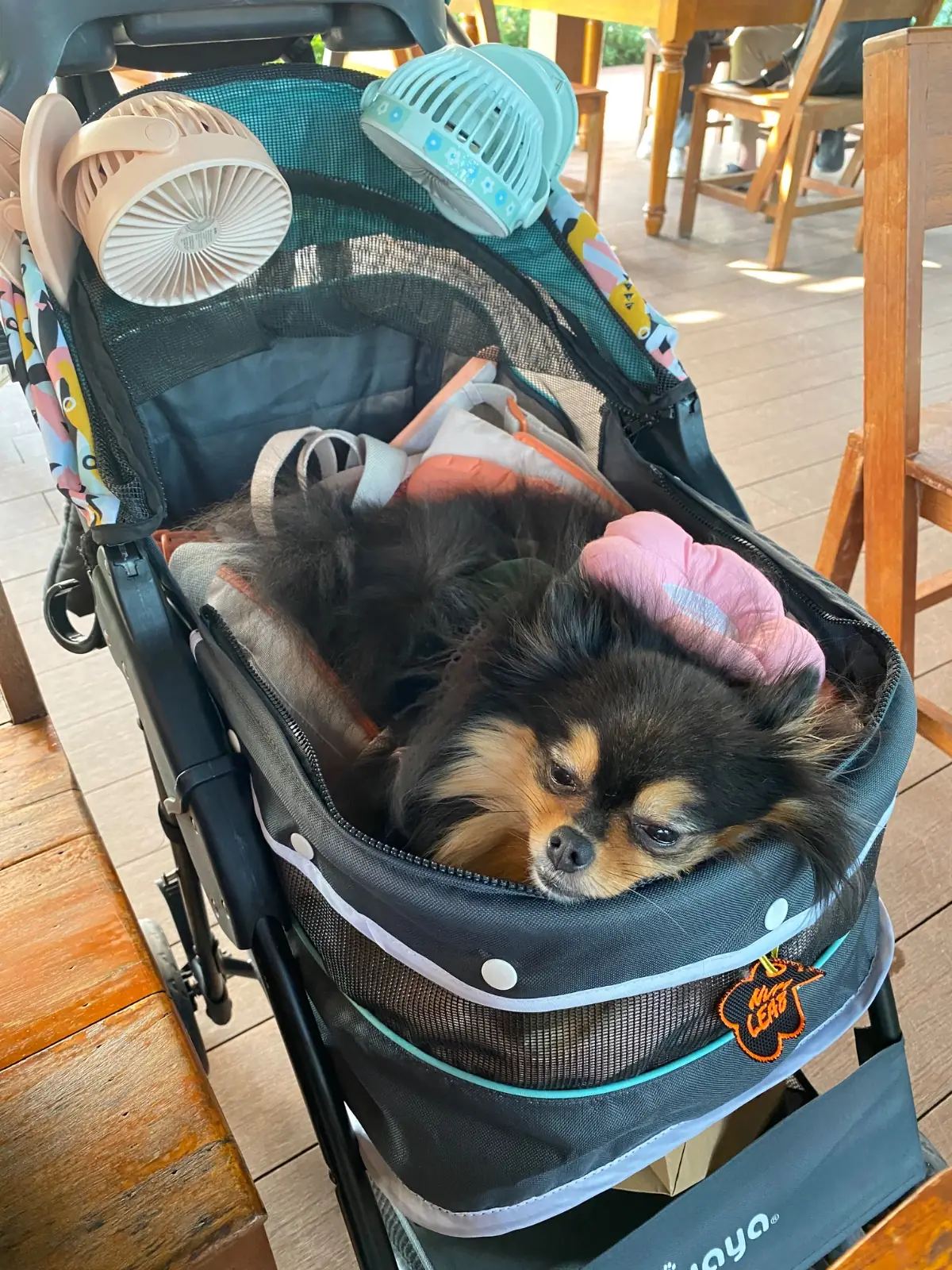 Take a Breath pets image 2