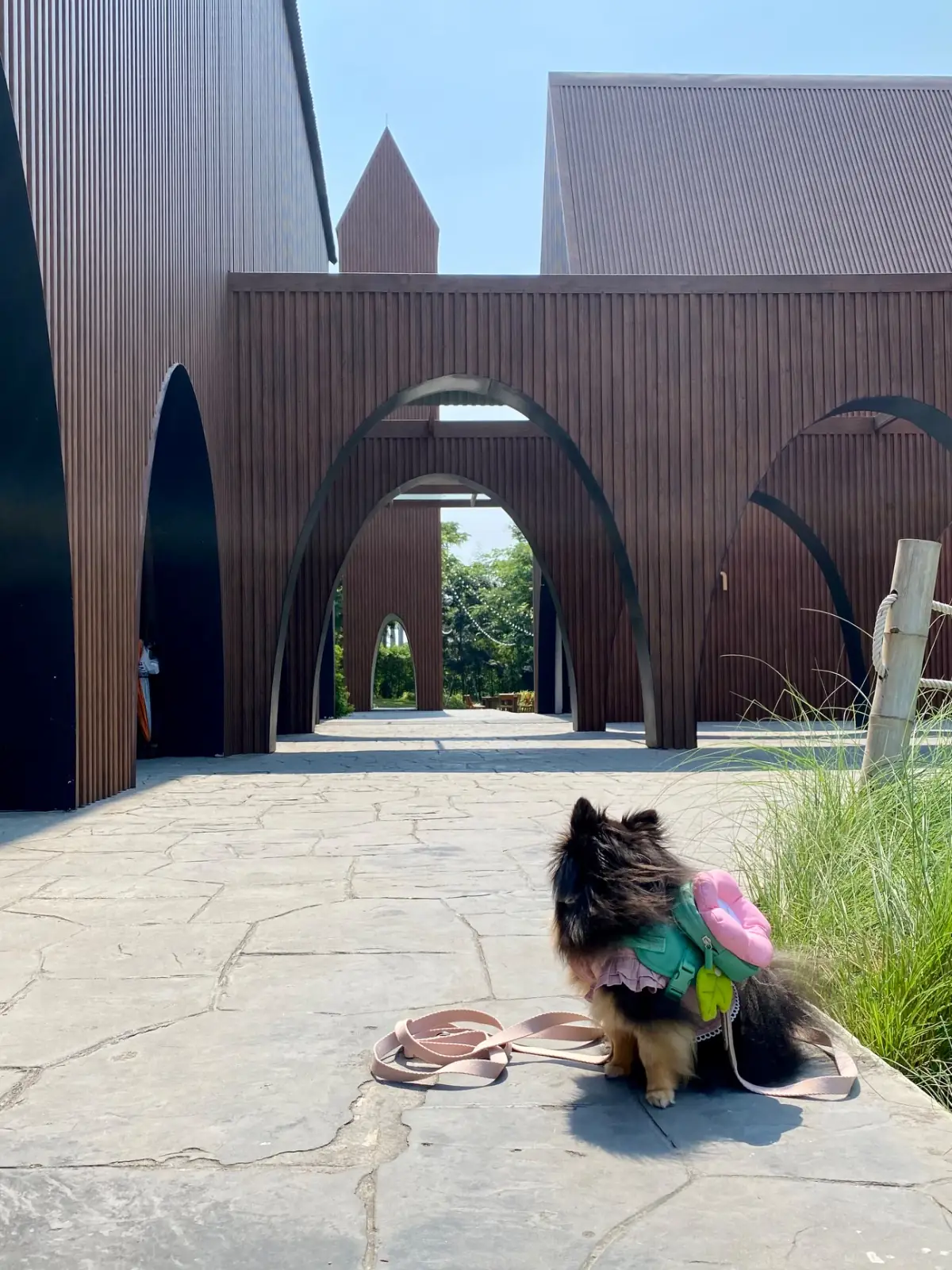 Take a Breath pets image 3