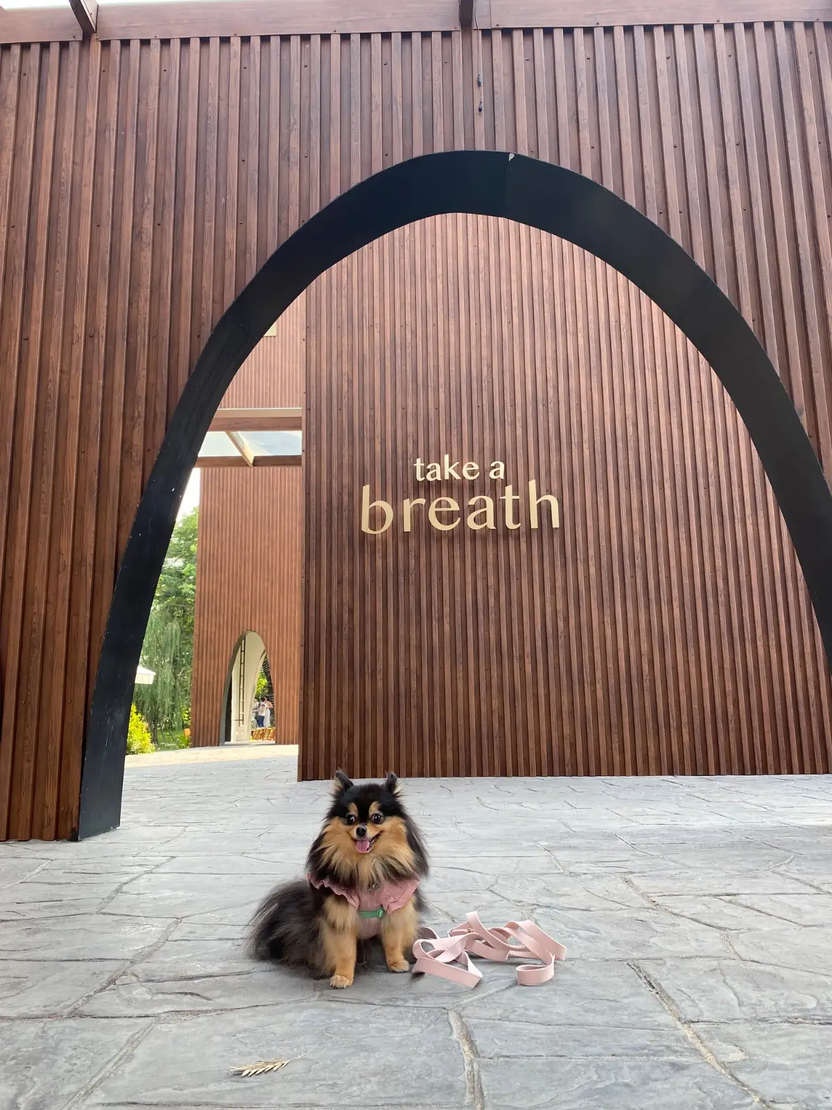 Take a Breath pets image 5