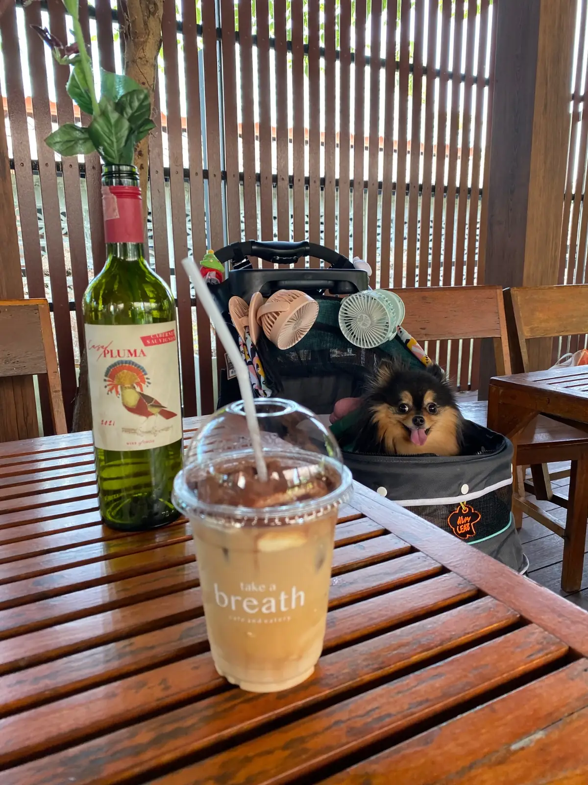 Take a Breath pets image 1