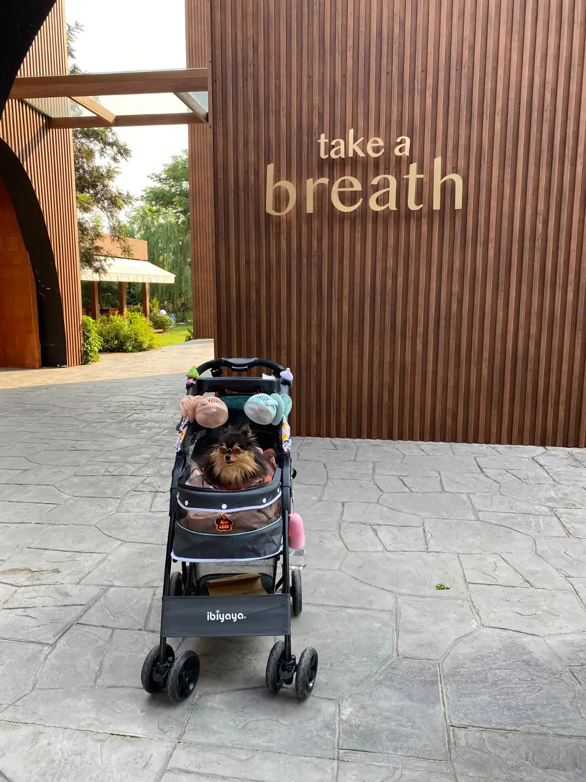 Take a Breath pets image 4