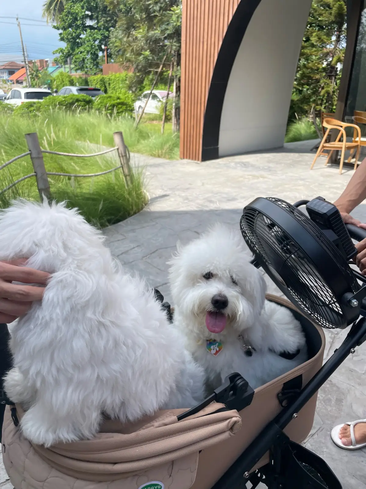 Take a Breath café & eatery pets image 7