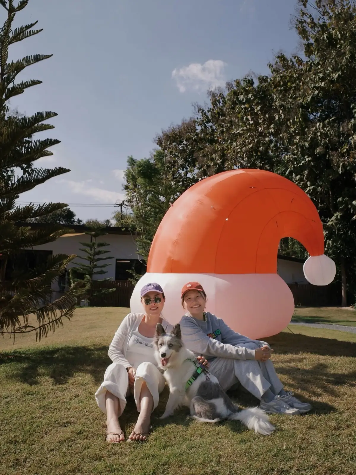 Tiny Tank - Dog Community pets image 3