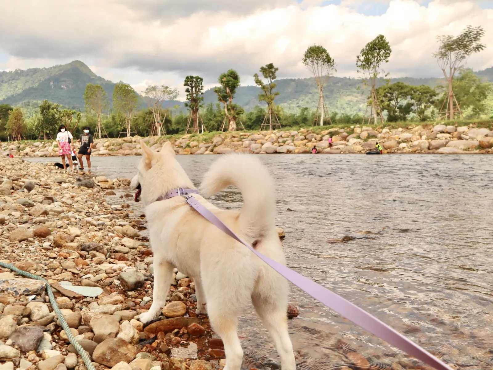 ริมธาร รีสอร์ท pets image 1