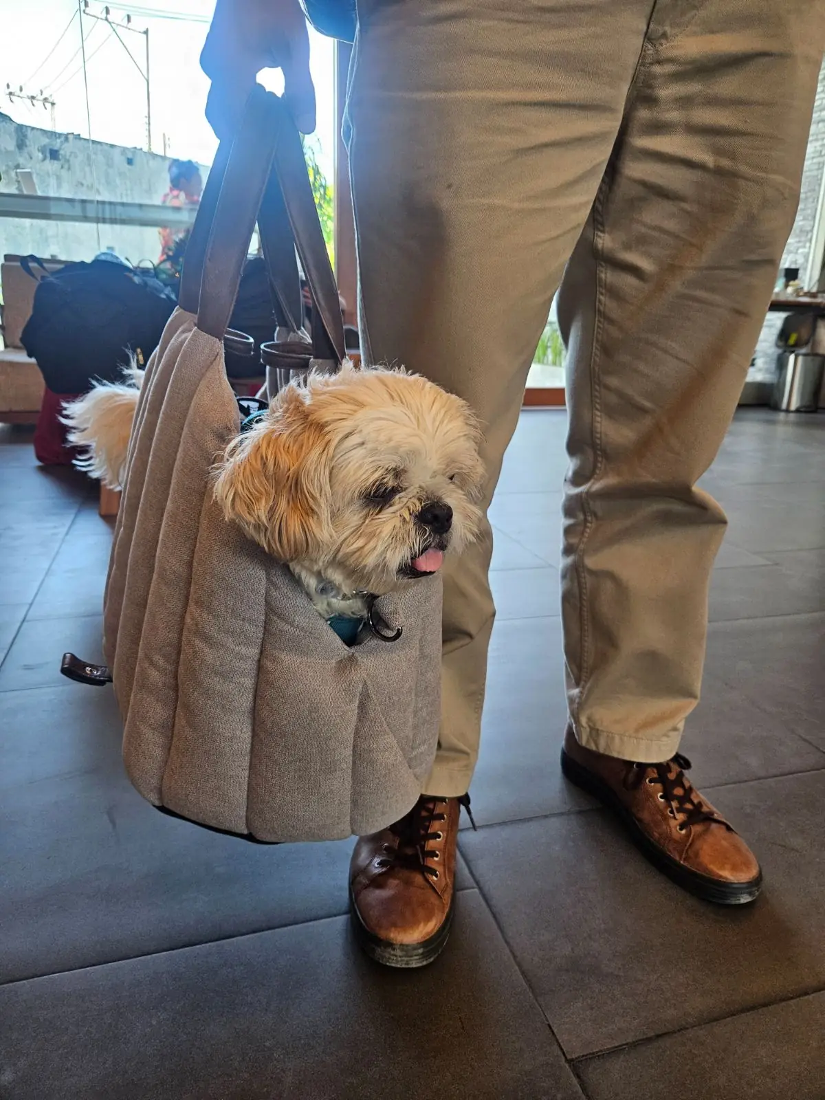 ครัวอาจารย์สายหยุด & หมอทราย pets image 1