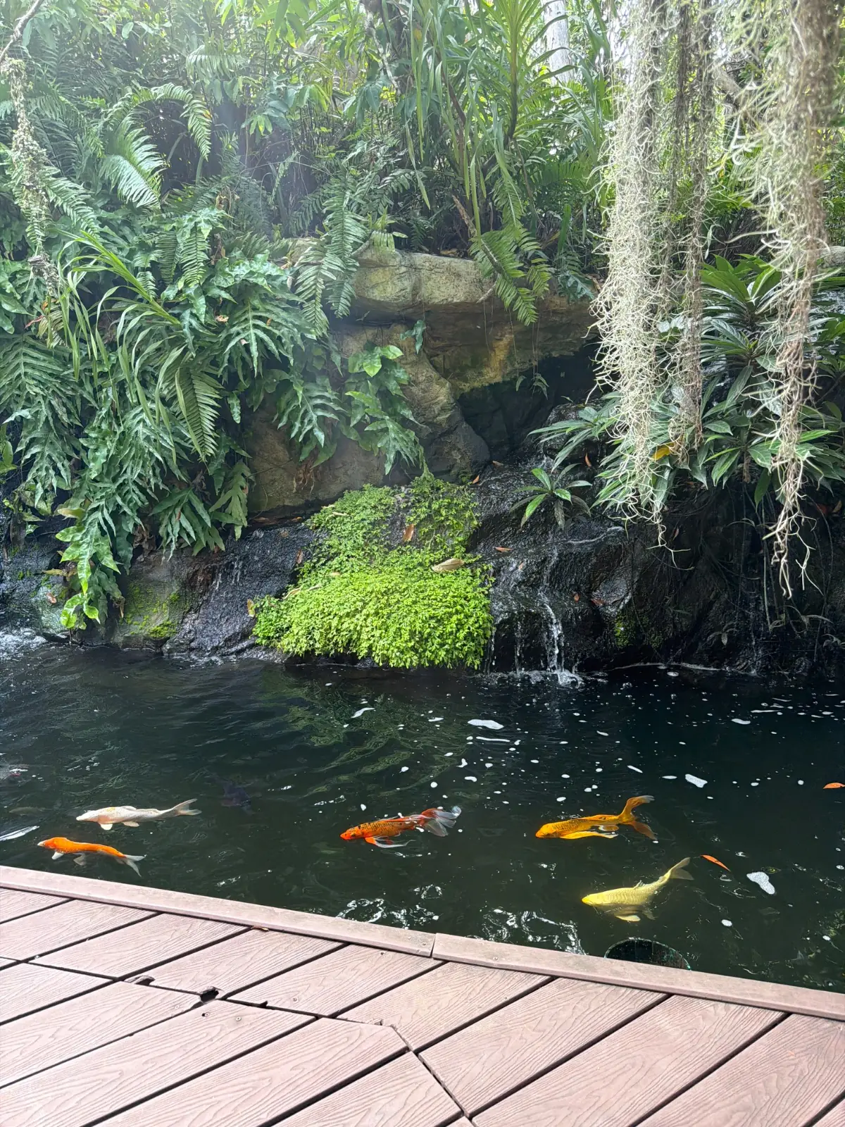 ออกรส overall image 1