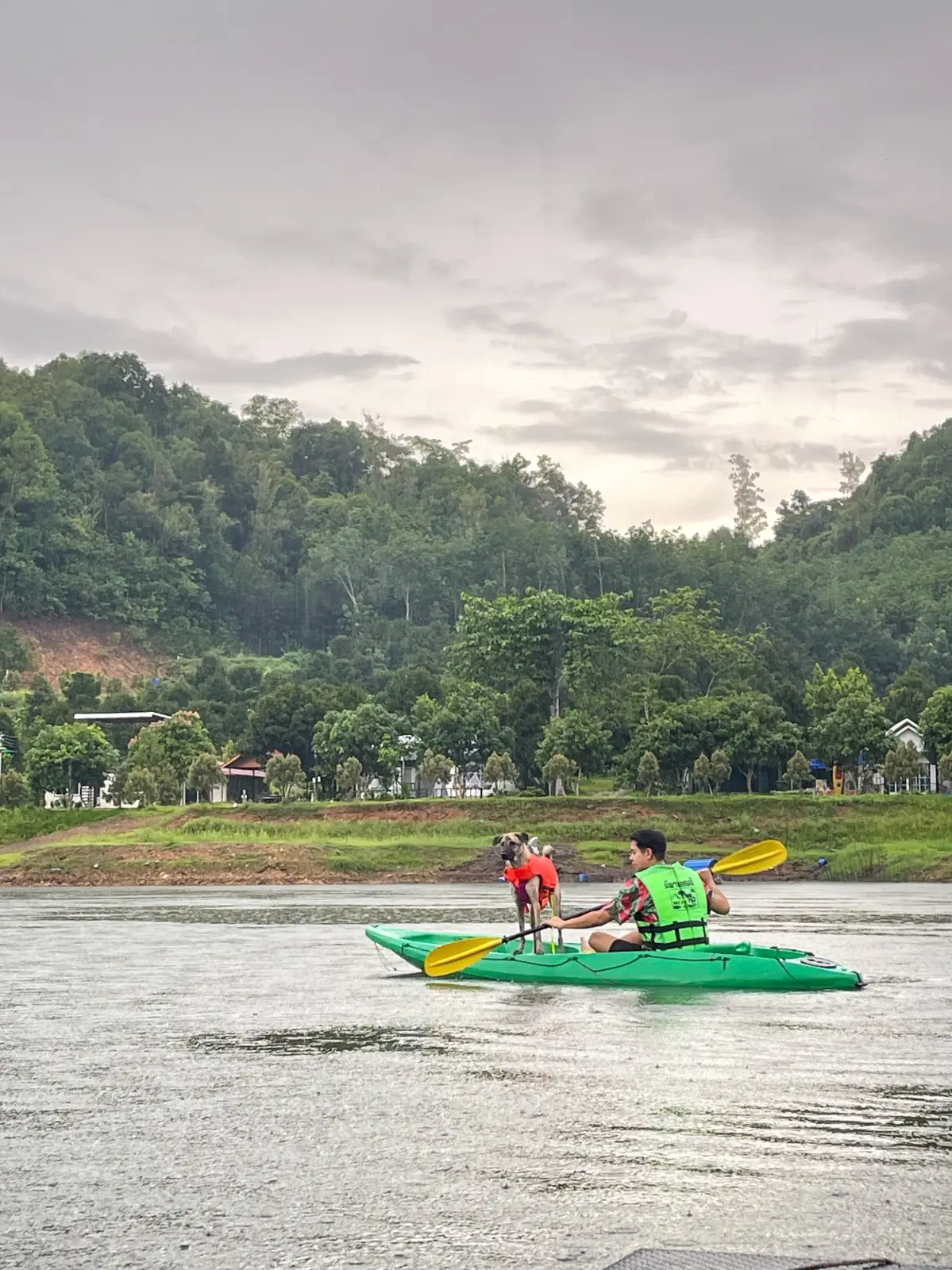 Green Camp ambiance image 2