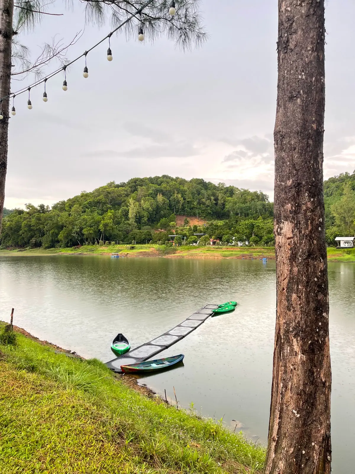 Green Camp ambiance image 3