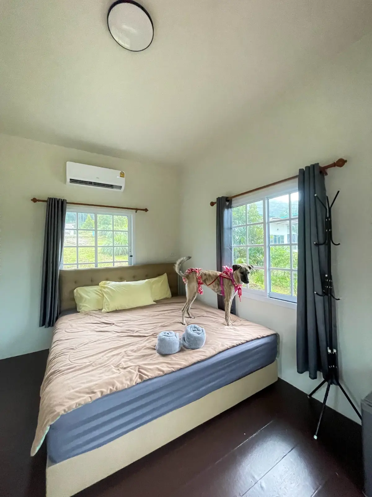 Green Camp pets image 1