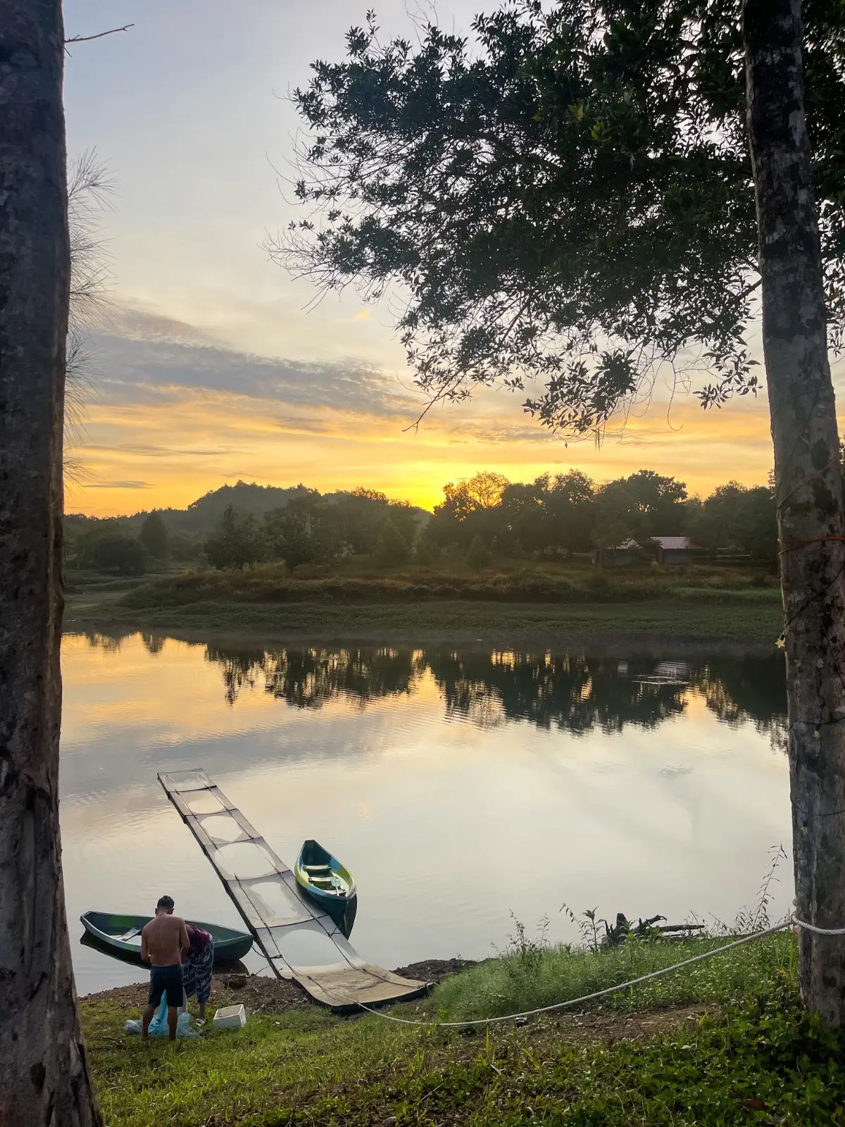 Green Camp hero image 2