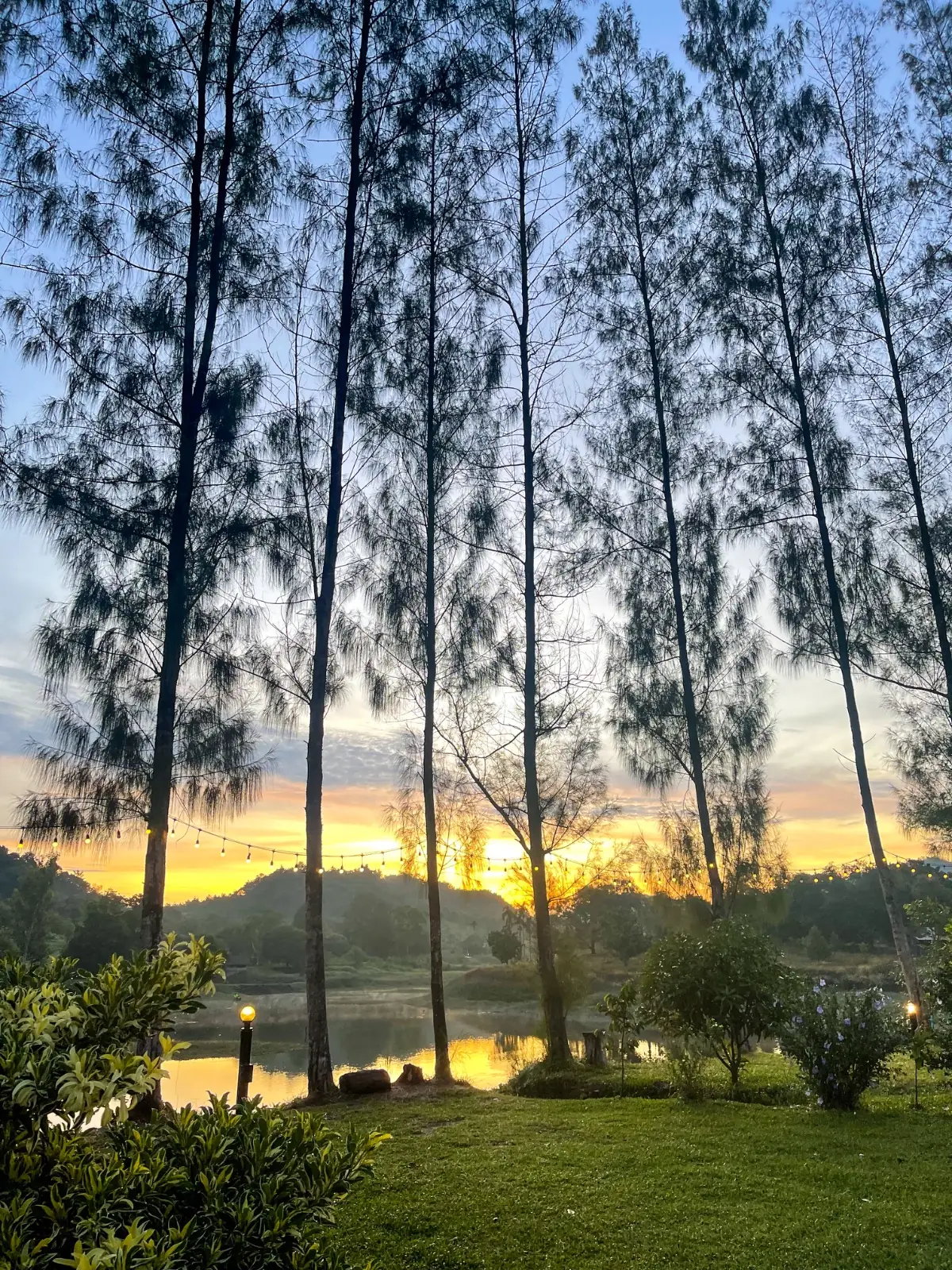 Green Camp ambiance image 5