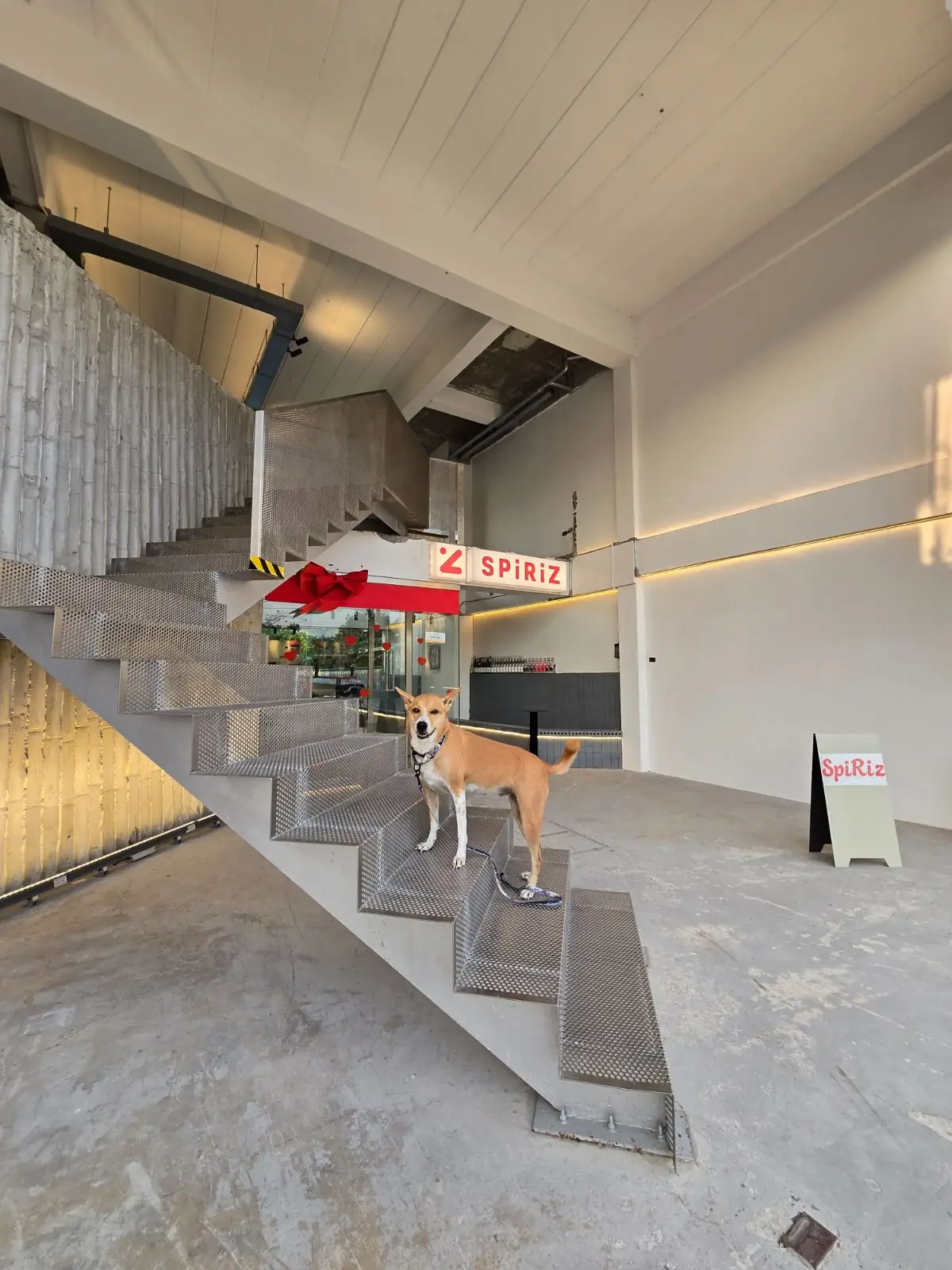 SpiRiz (Bar & Cafe) ambiance image 1