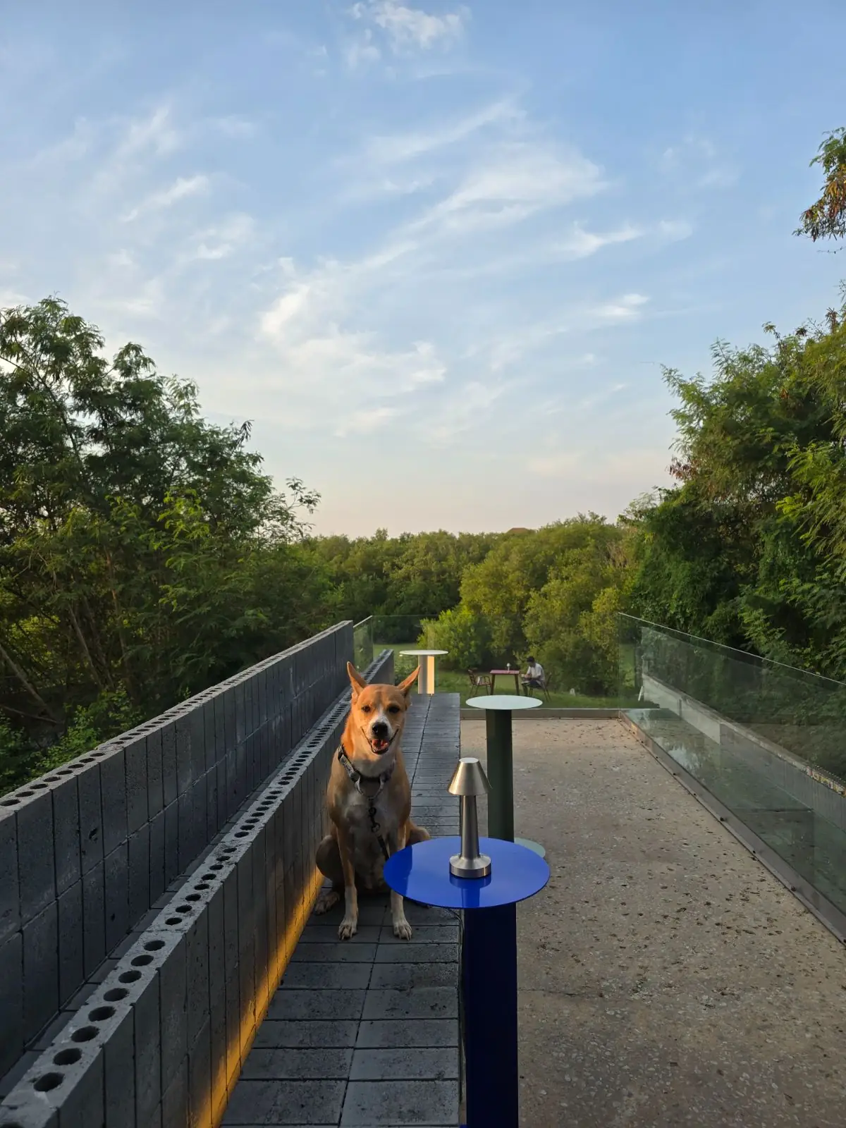 SpiRiz (Bar & Cafe) pets image 2