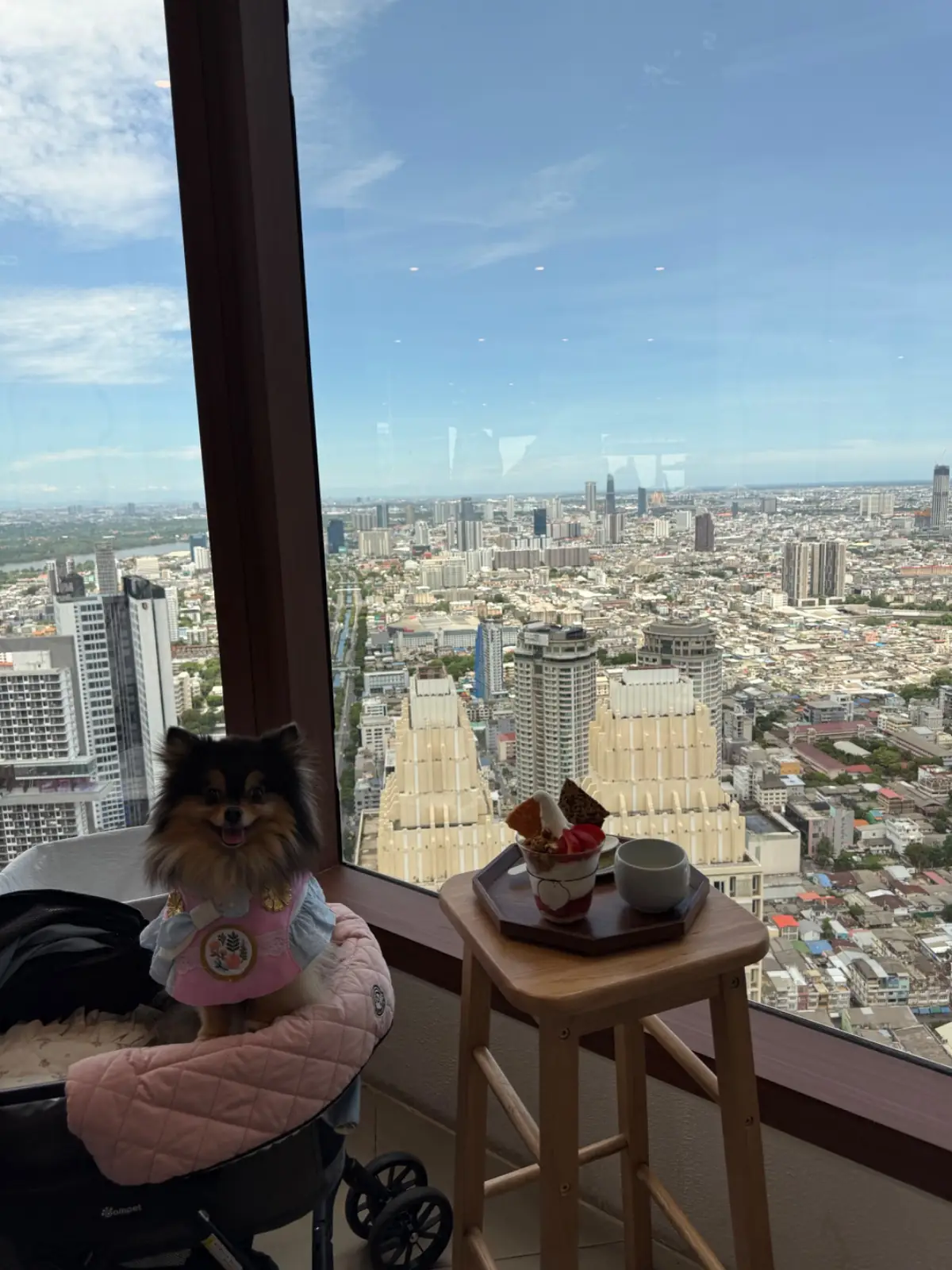 Maru Dessert House - The Empire Tower pets image 9