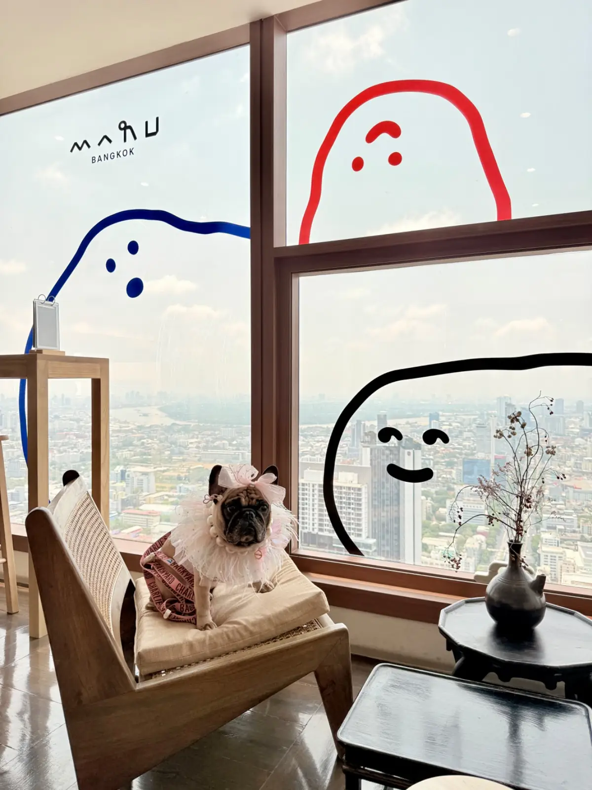 Maru - The Empire Tower pets image 5