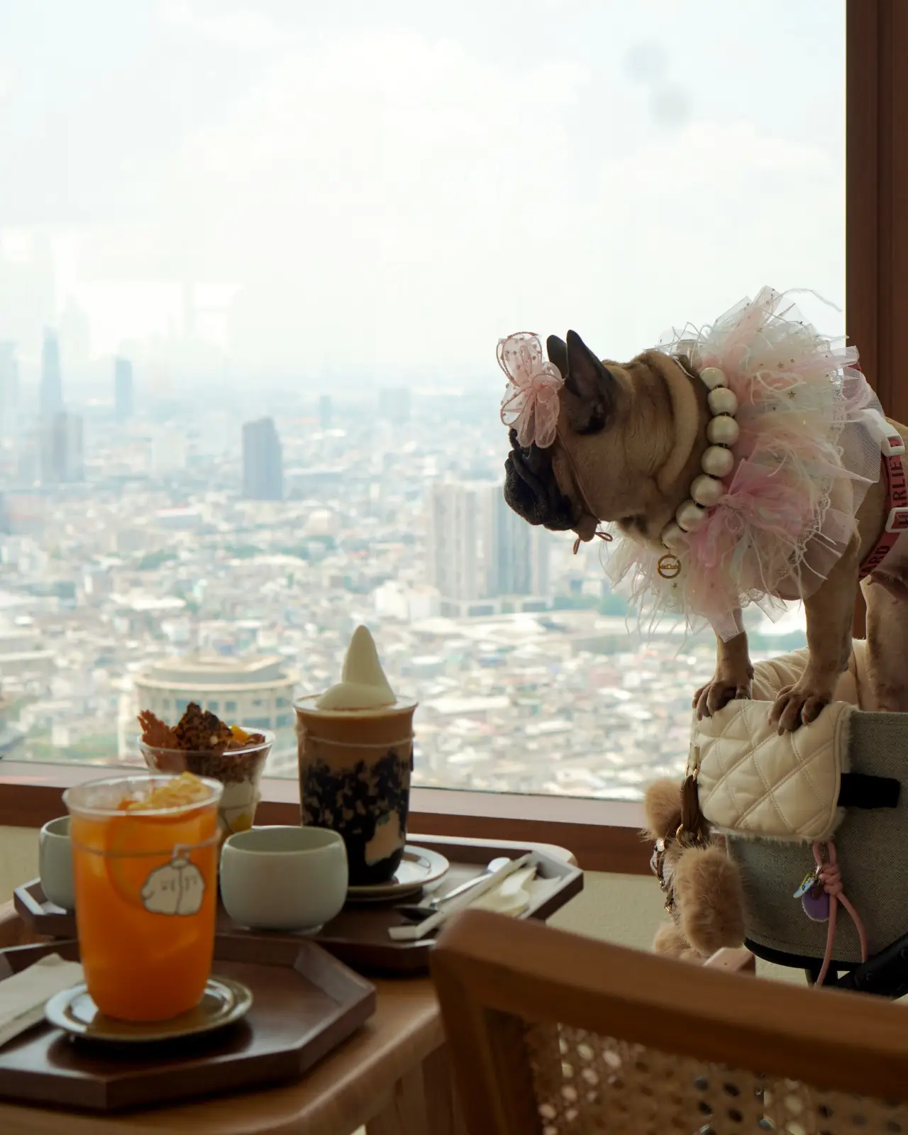 Maru - The Empire Tower pets image 3