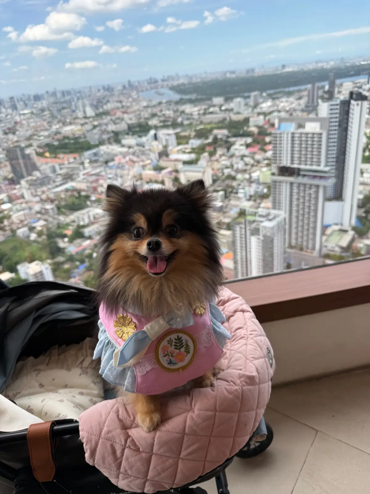 Maru Dessert House - The Empire Tower pets image 5