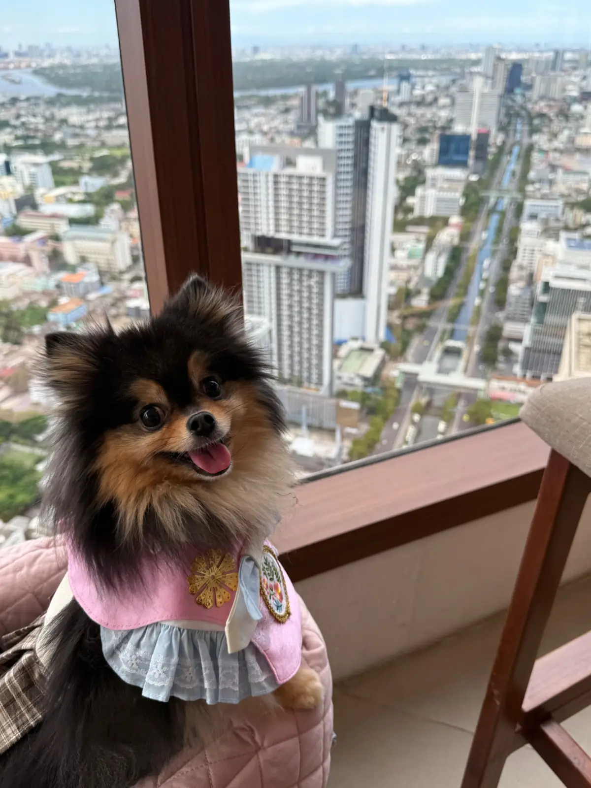 Maru Dessert House - The Empire Tower pets image 6