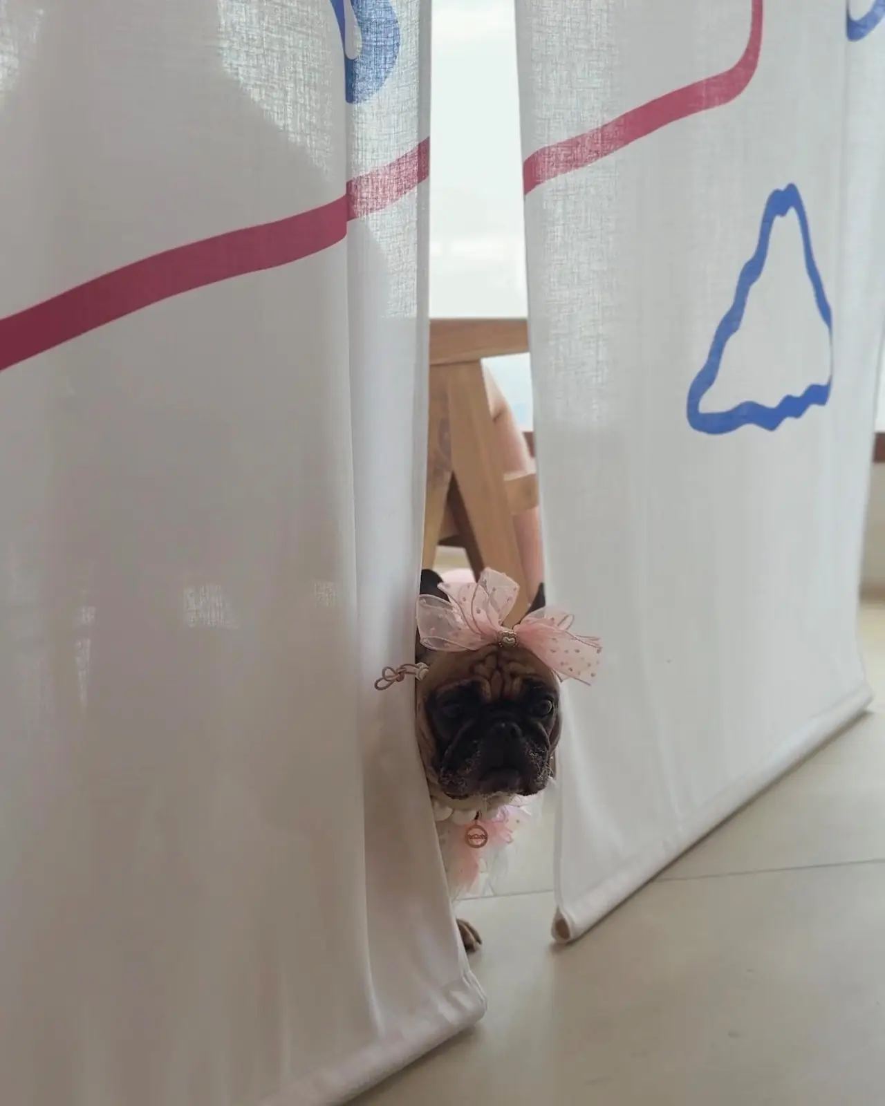 Maru - The Empire Tower pets image 4