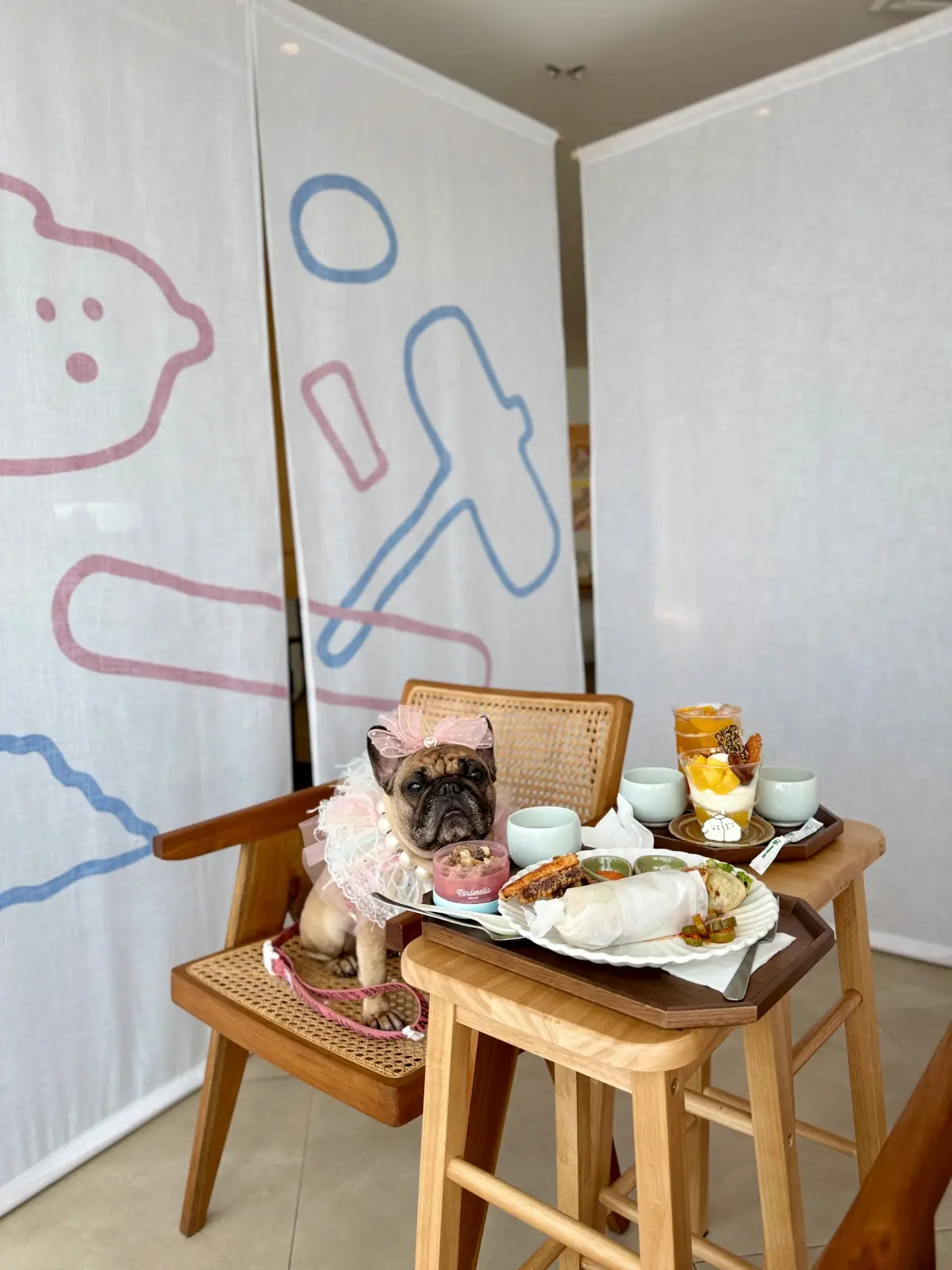 Maru - The Empire Tower pets image 1