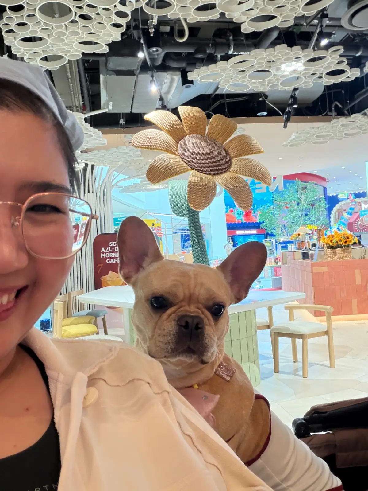 Shabu Baru - Siam Paragon pets image 3
