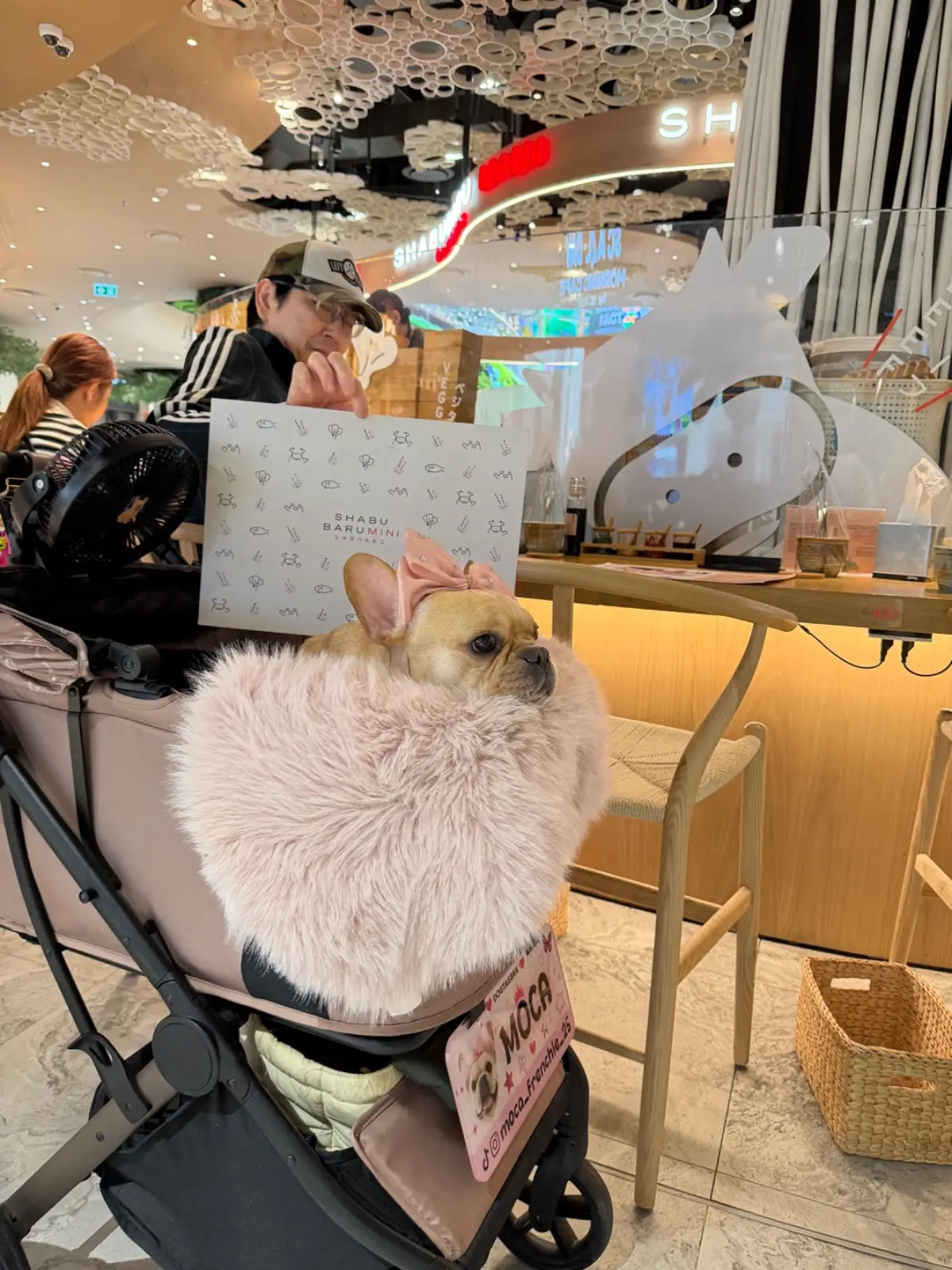 Shabu Baru - Siam Paragon pets image 1