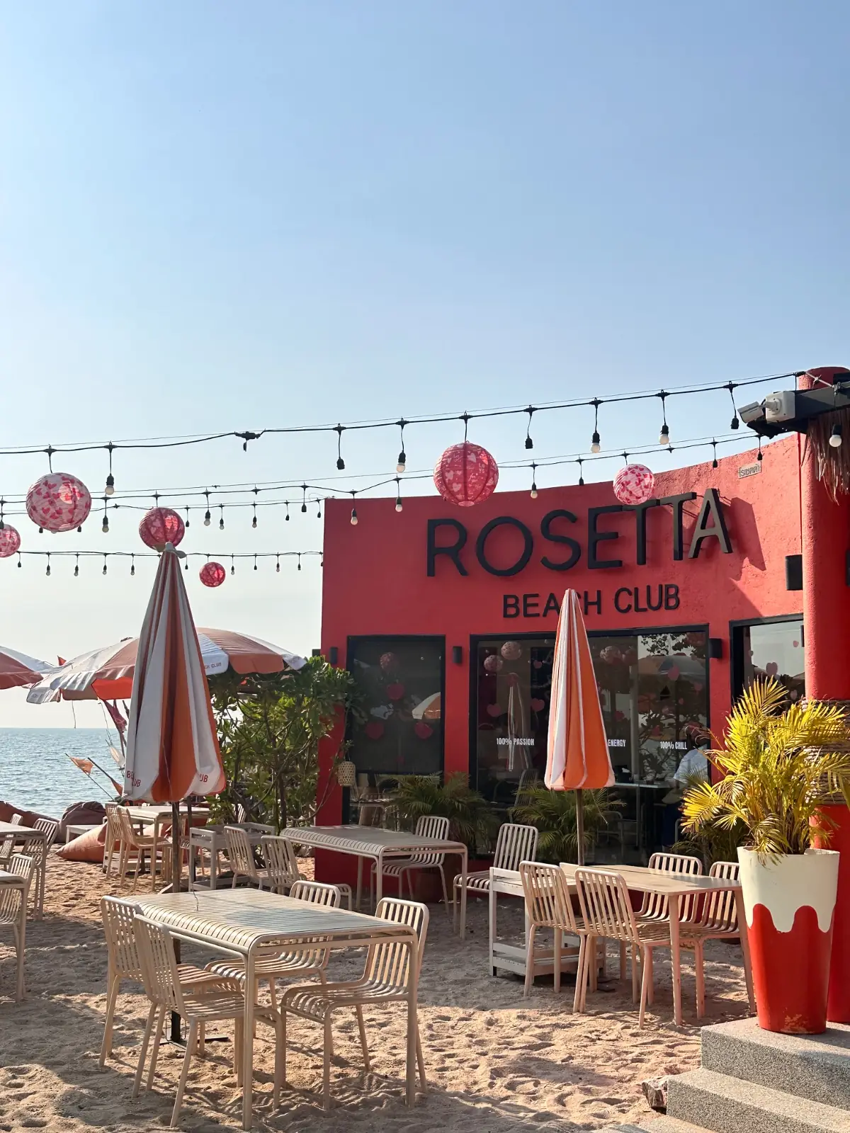 Rosetta Beach Club ambiance image 1