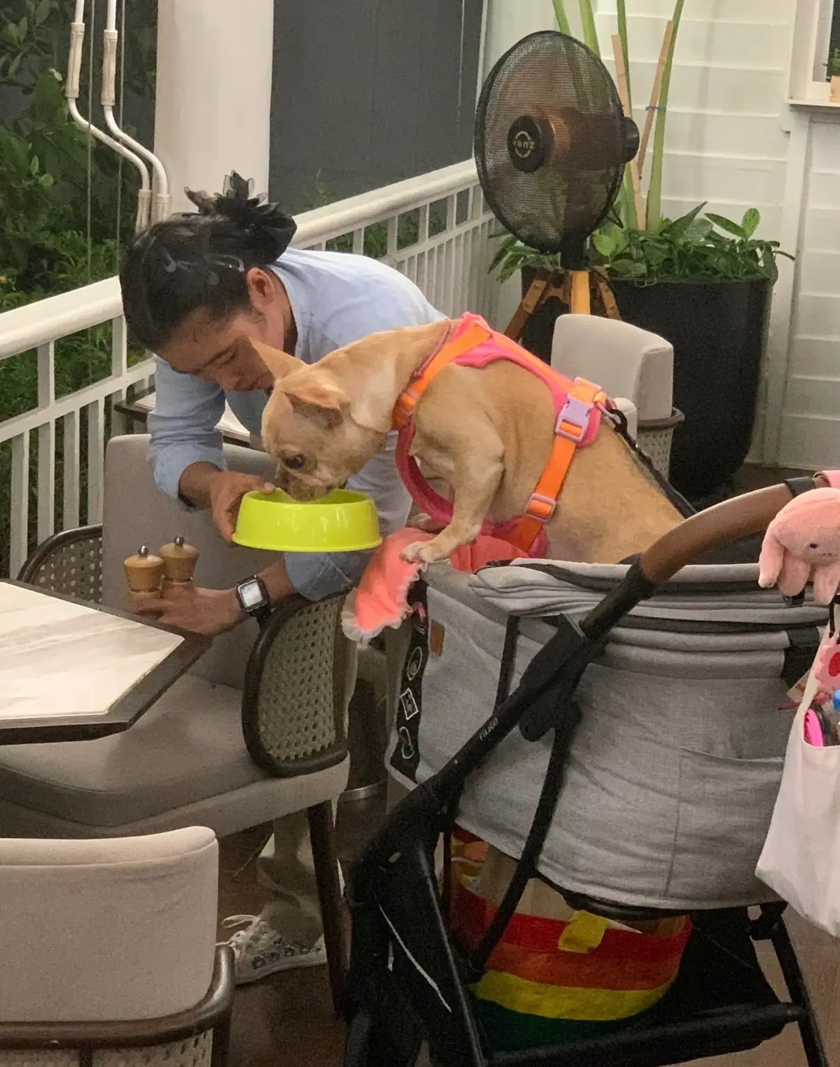 111 Social House pets image 1