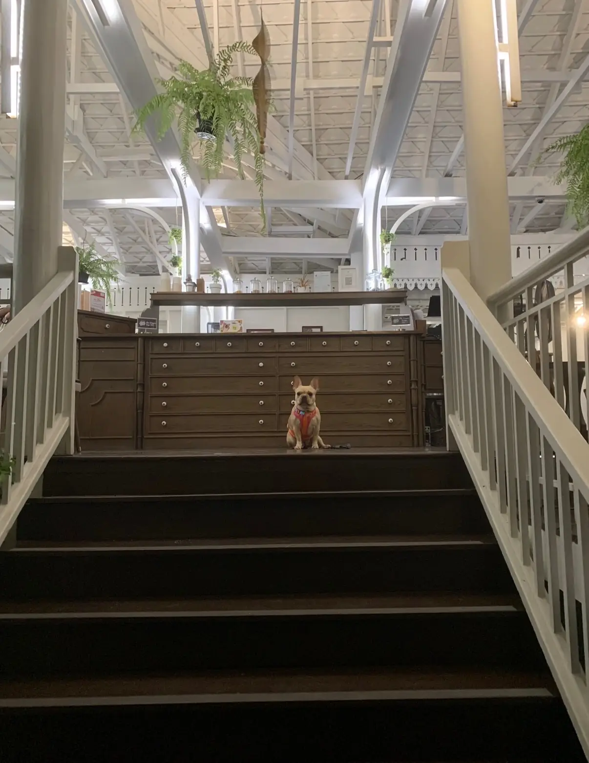 111 Social House ambiance image 1