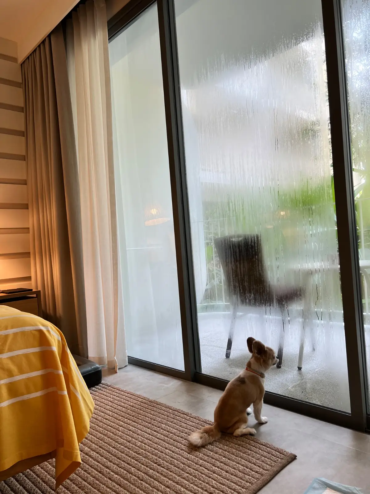 The Standard, Hua Hin pets image 1
