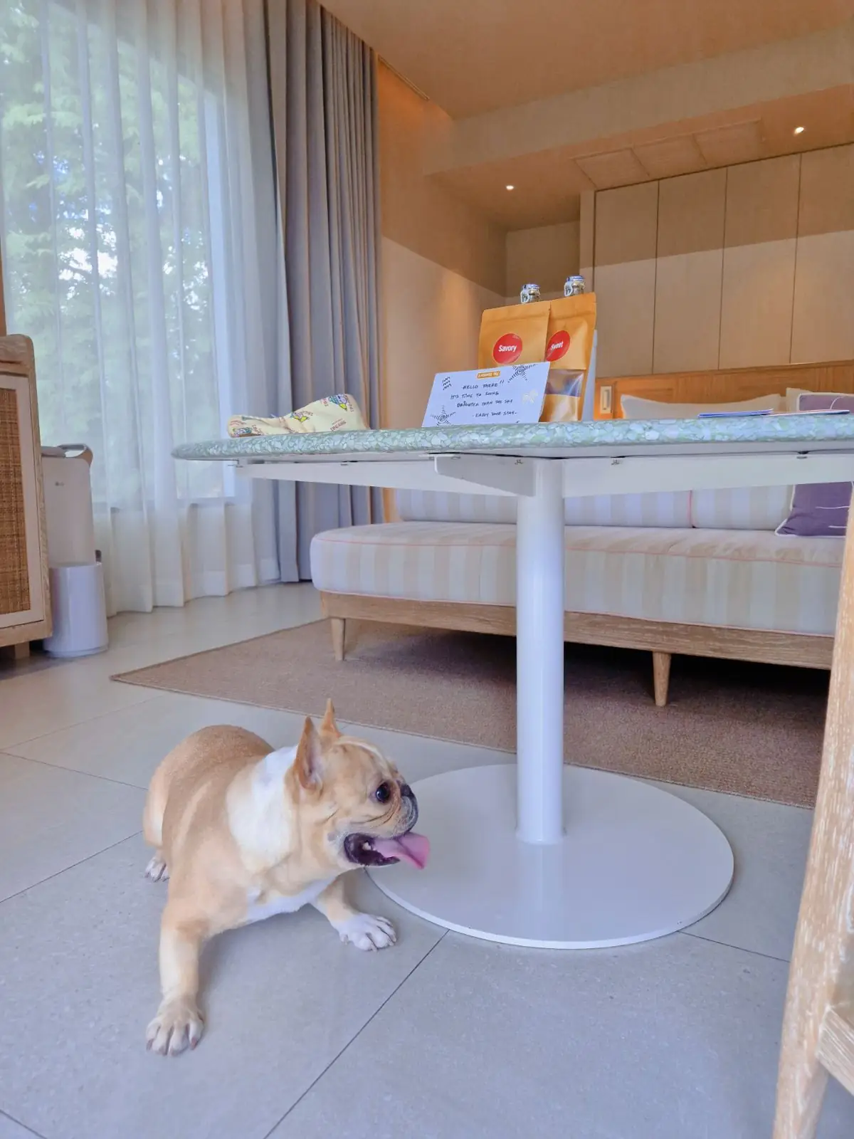 The Standard Hua Hin pets image 1