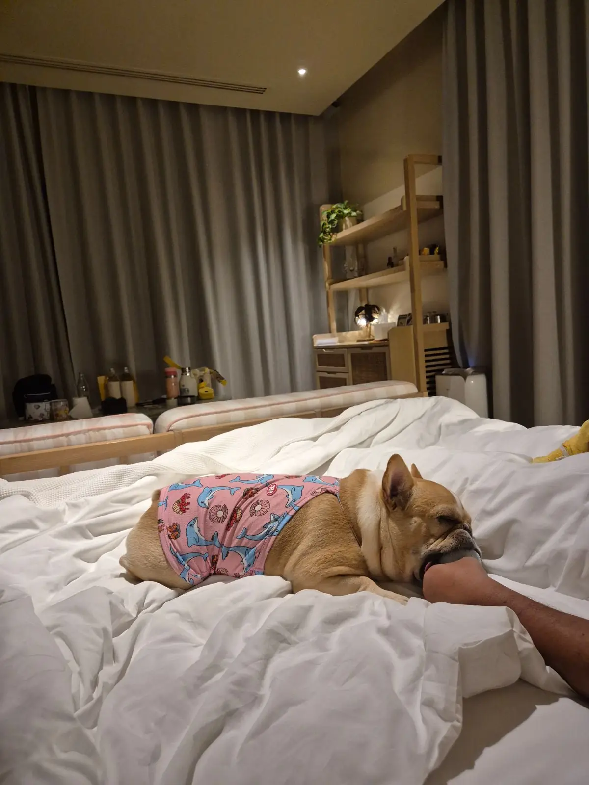 The Standard Hua Hin rooms image 3