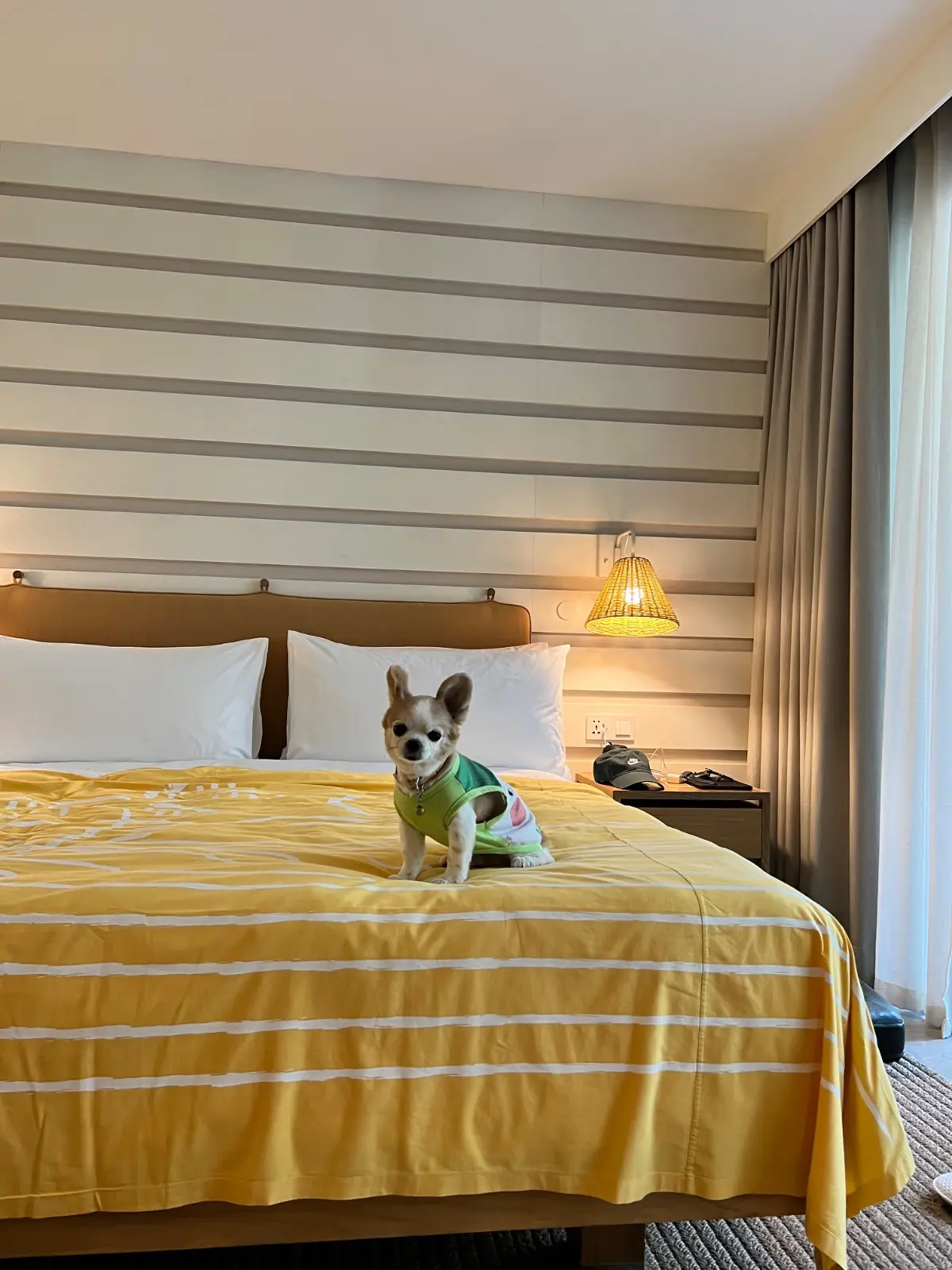 The Standard, Hua Hin rooms image 5