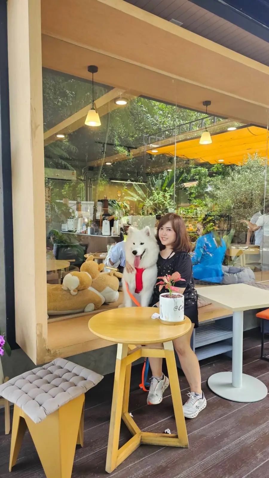 Corg & Koff Cafe overall image 1