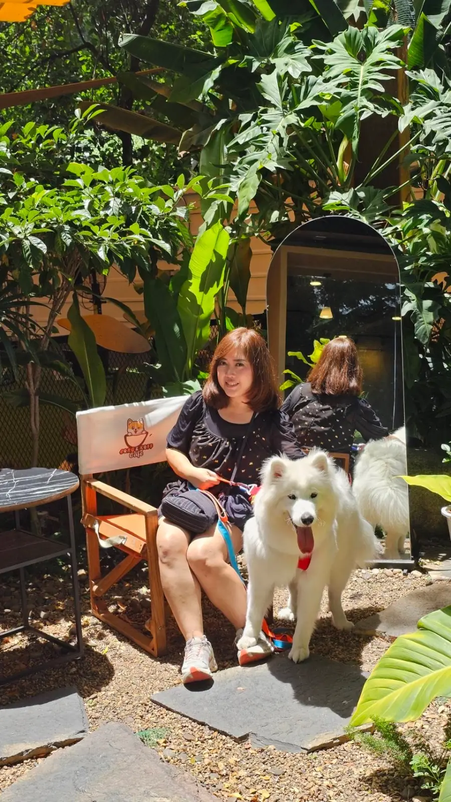 Corg & Koff Cafe pets image 4