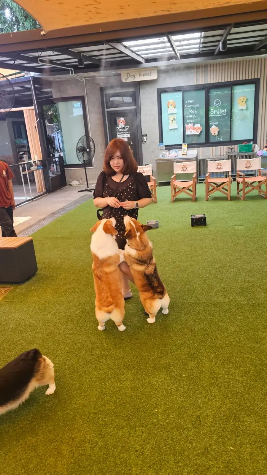 Corg & Koff Cafe pets image 2