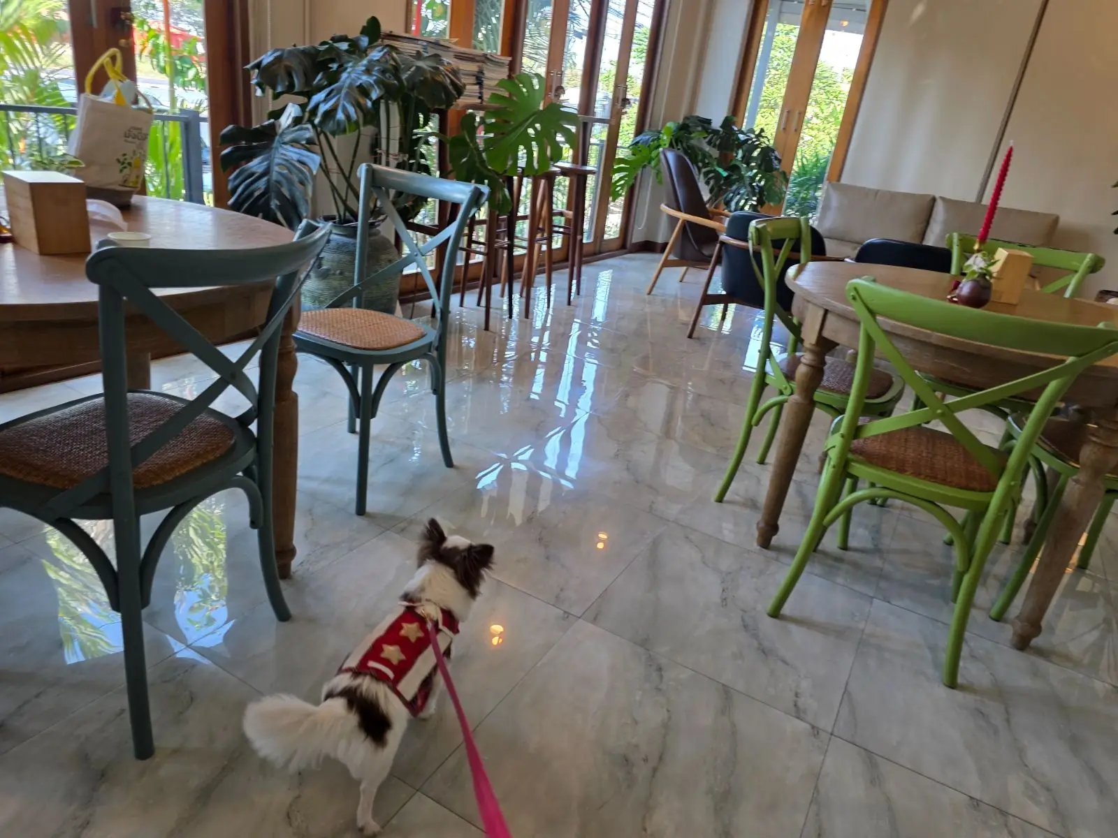 ชมนาถ other image 1