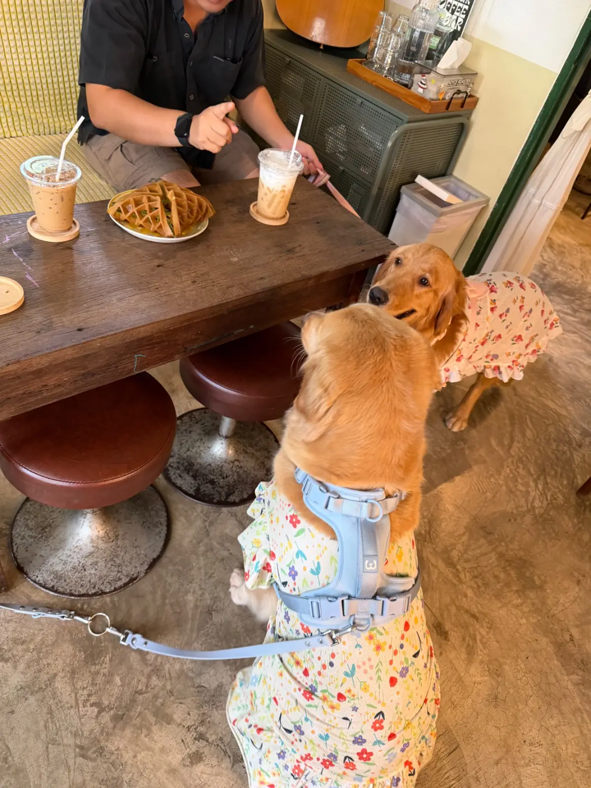 Slum Slur Coffee Bar pets image 2