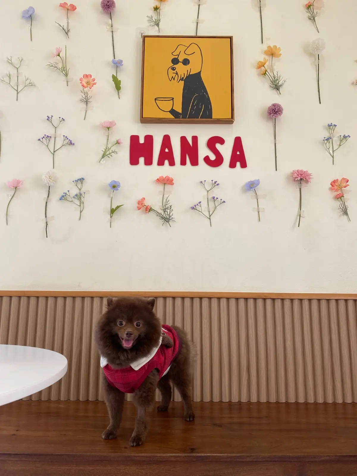Hansa cafe pets image 9