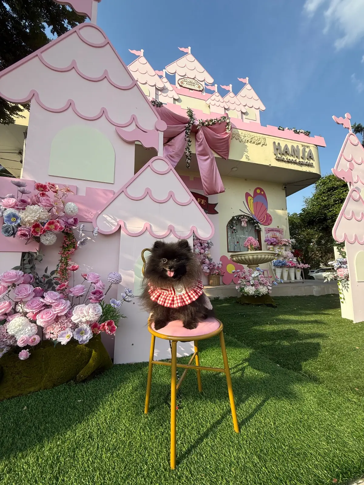 Hansa cafe other image 7