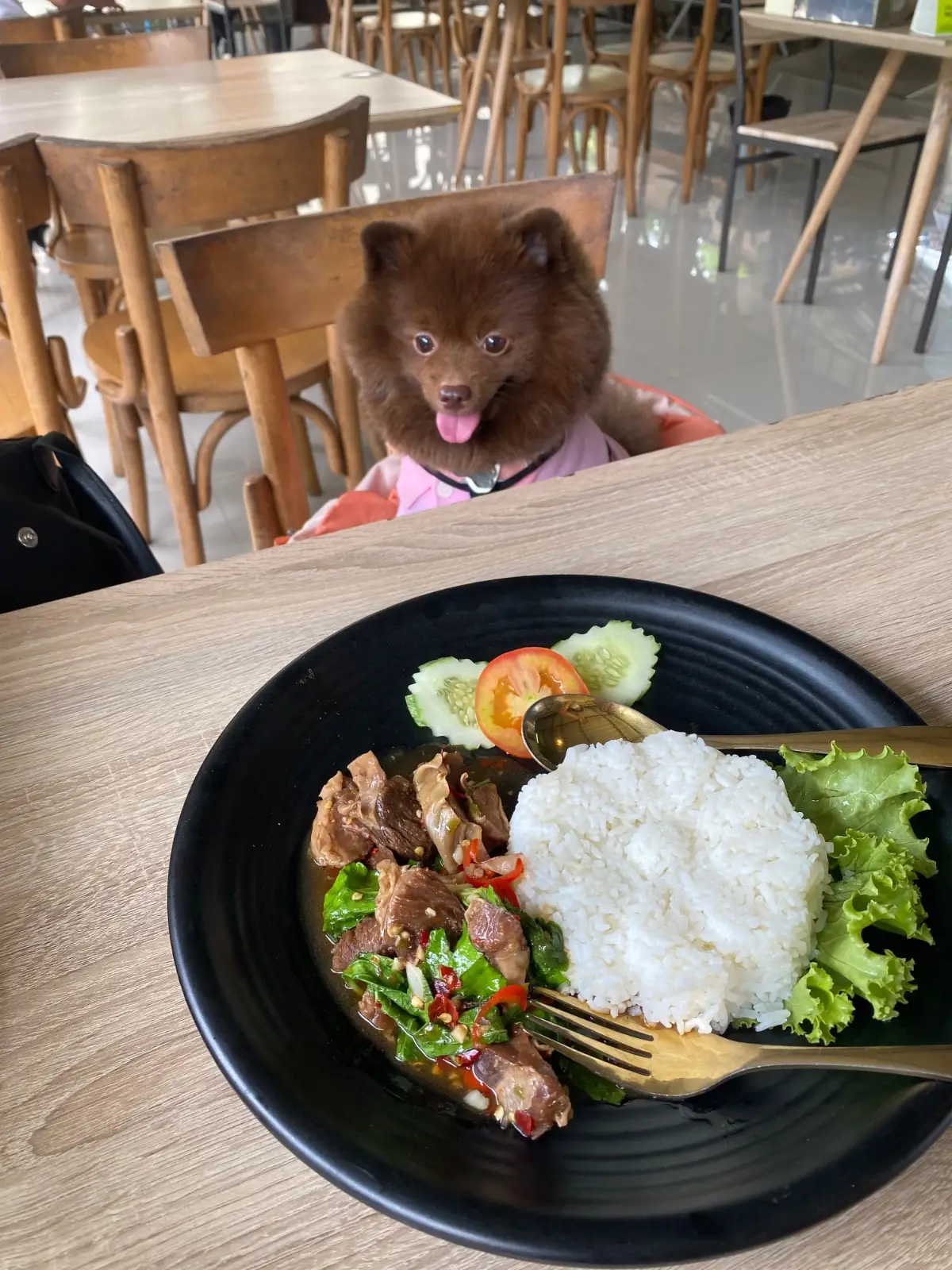 Hansa cafe food image 2