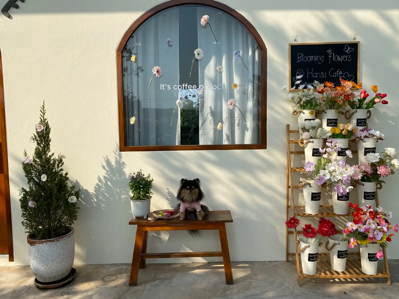 Hansa cafe pets image 1