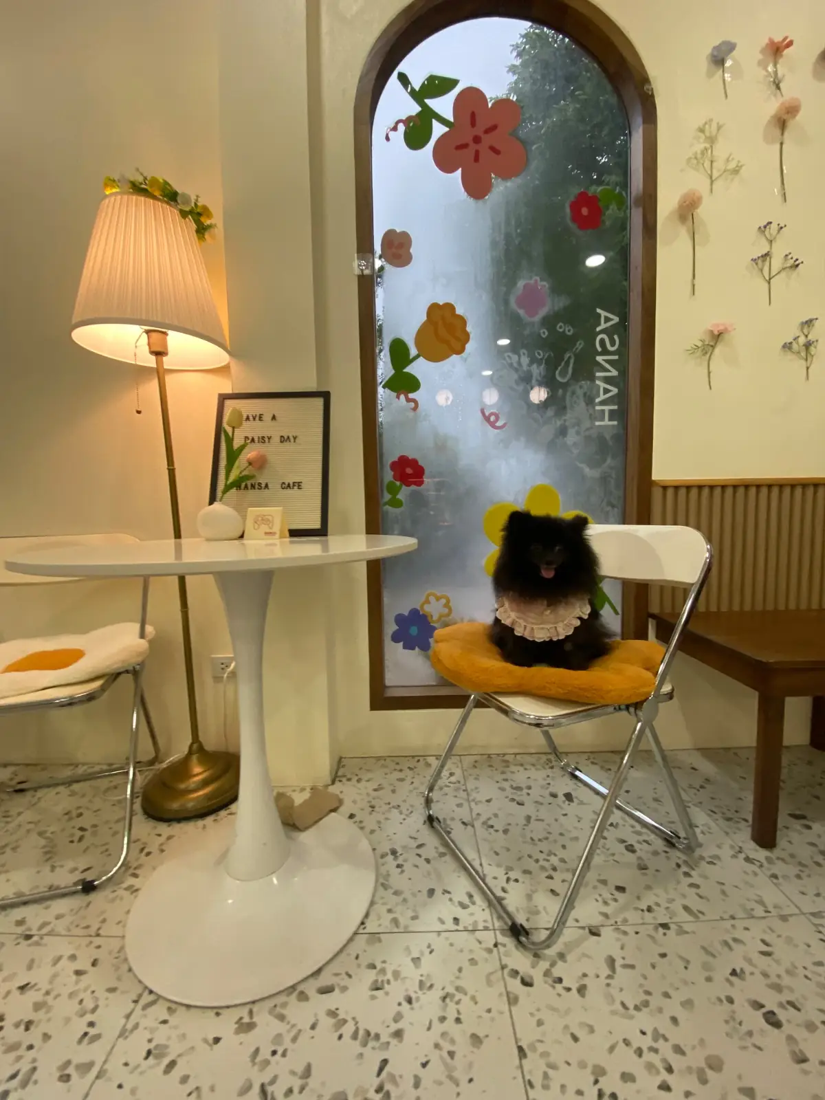 Hansa cafe pets image 5