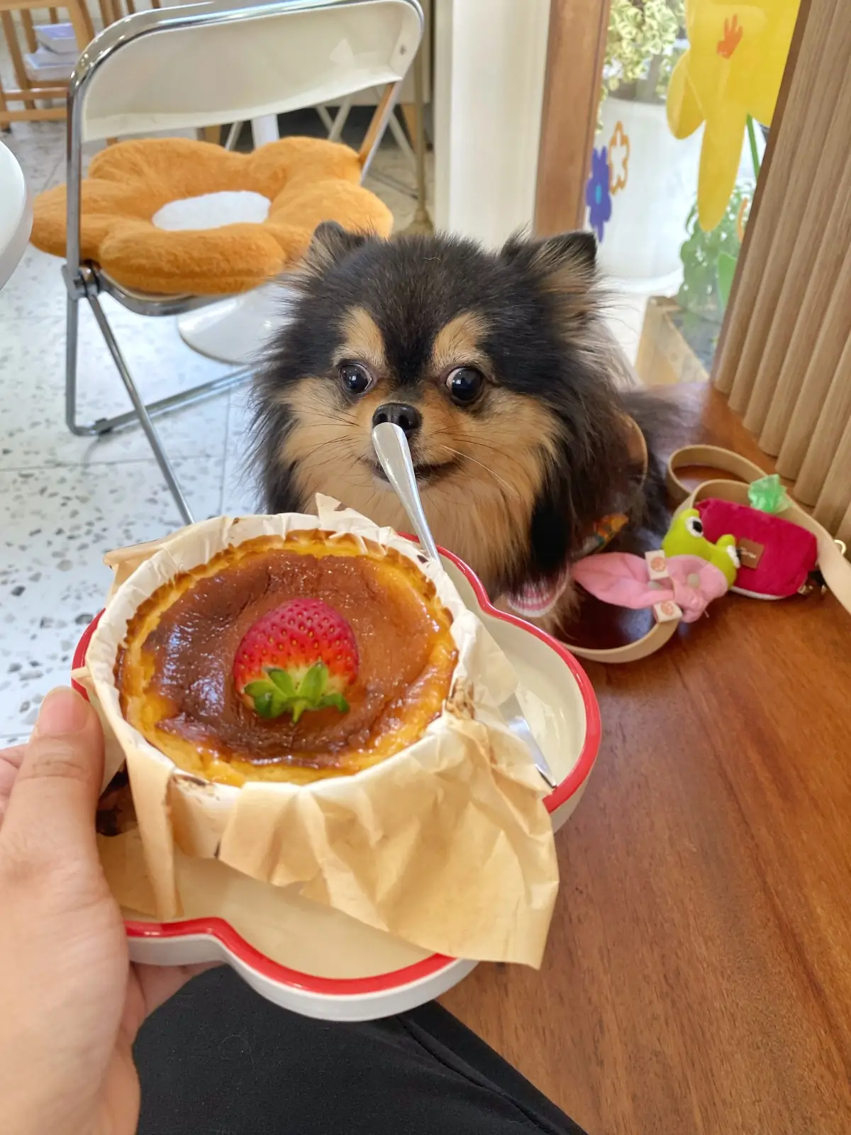 Hansa cafe food image 4