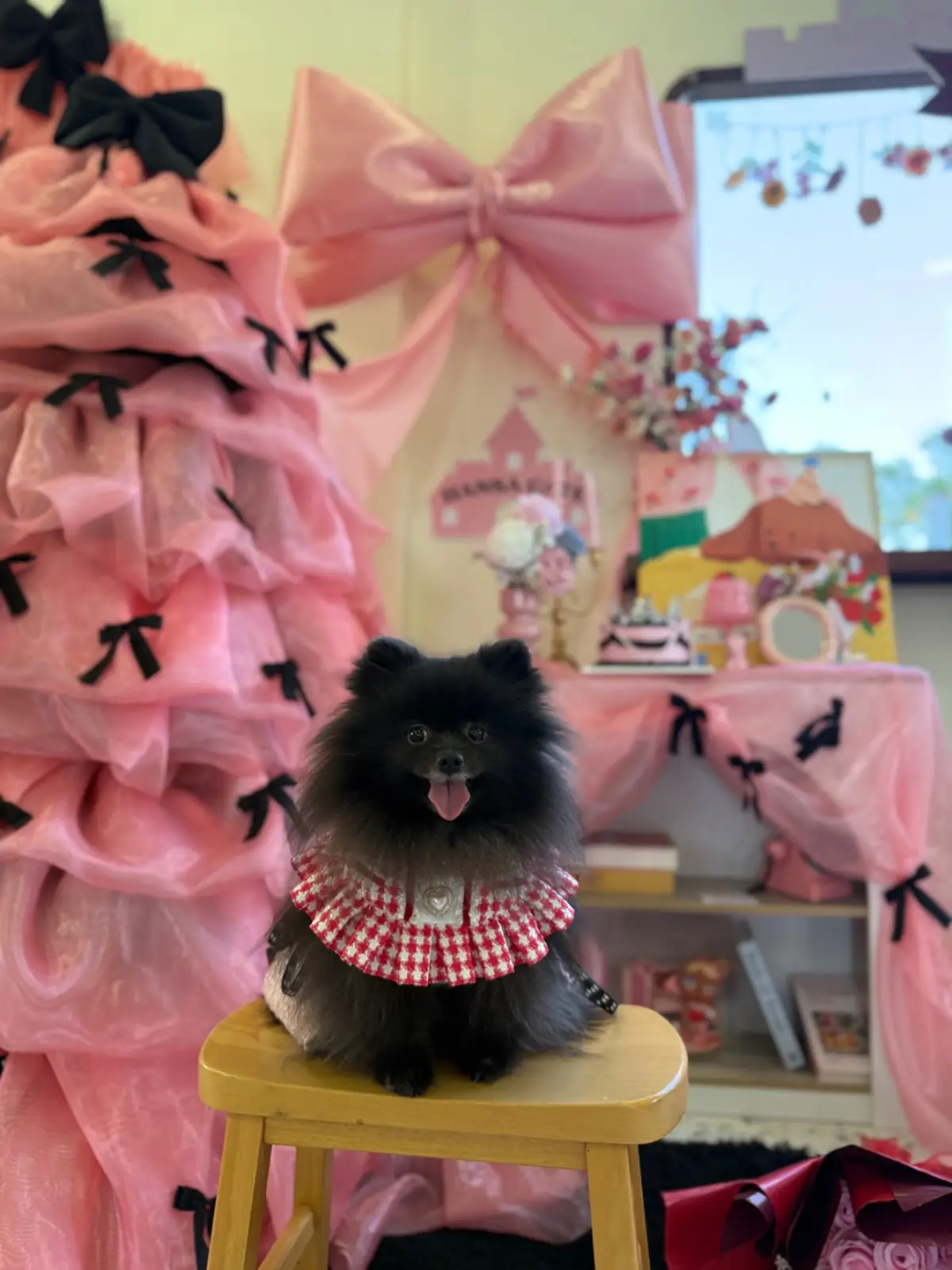 Hansa cafe other image 4